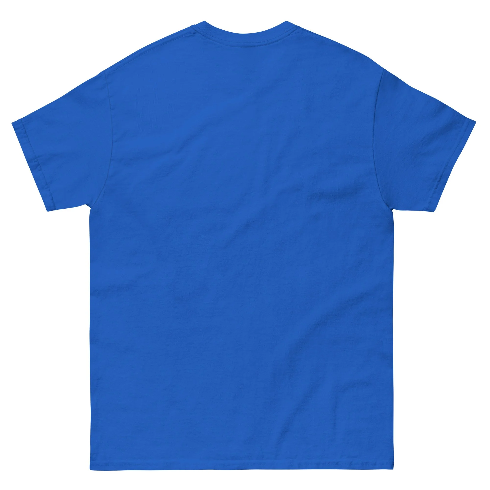 unisex-classic-tee-royal-back-68a8988f3eaf1.jpg