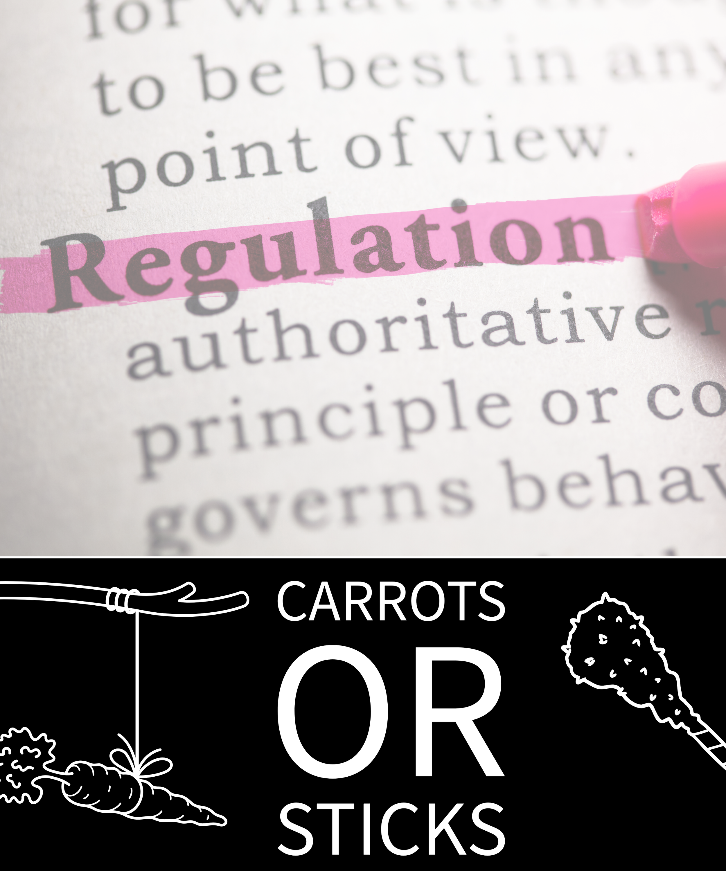 Regulation, the carrot, or the stick?
