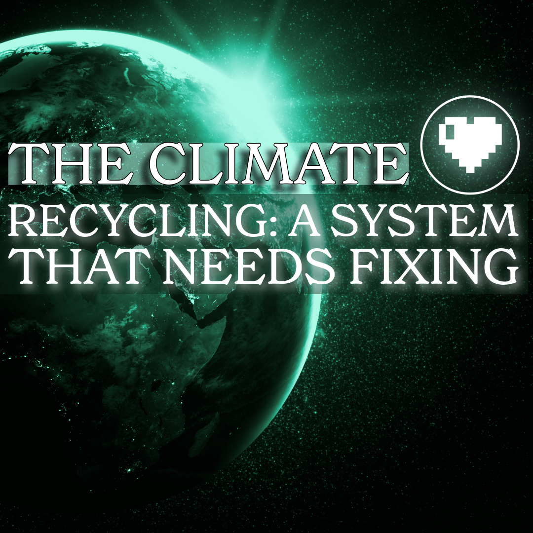 Recycling: A System That Needs Fixing