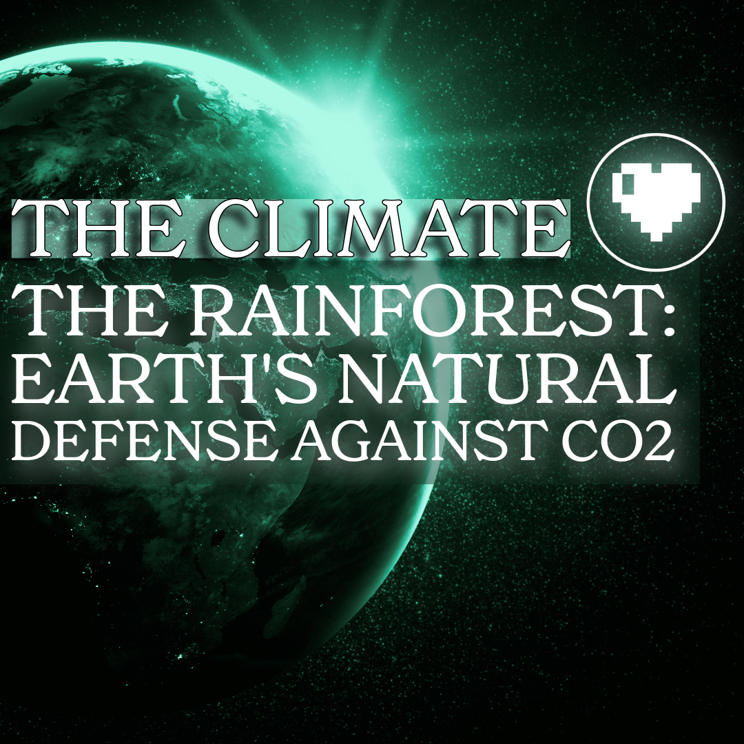 The Rainforest: Earth's Natural Defense Against CO₂