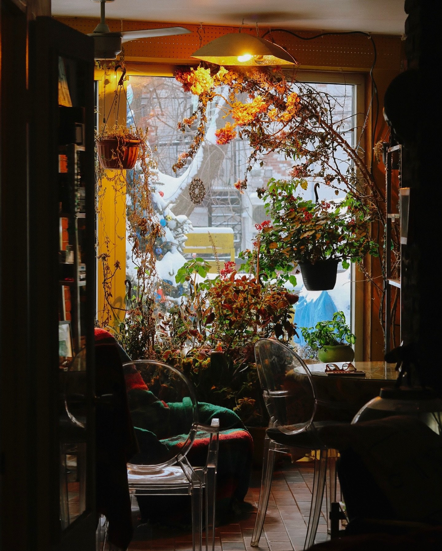 ce que j&rsquo;ai captur&eacute; ces derniers jours 🫦🧡
(gourmande, elle r&eacute;gale sur les dumps)(humblement)