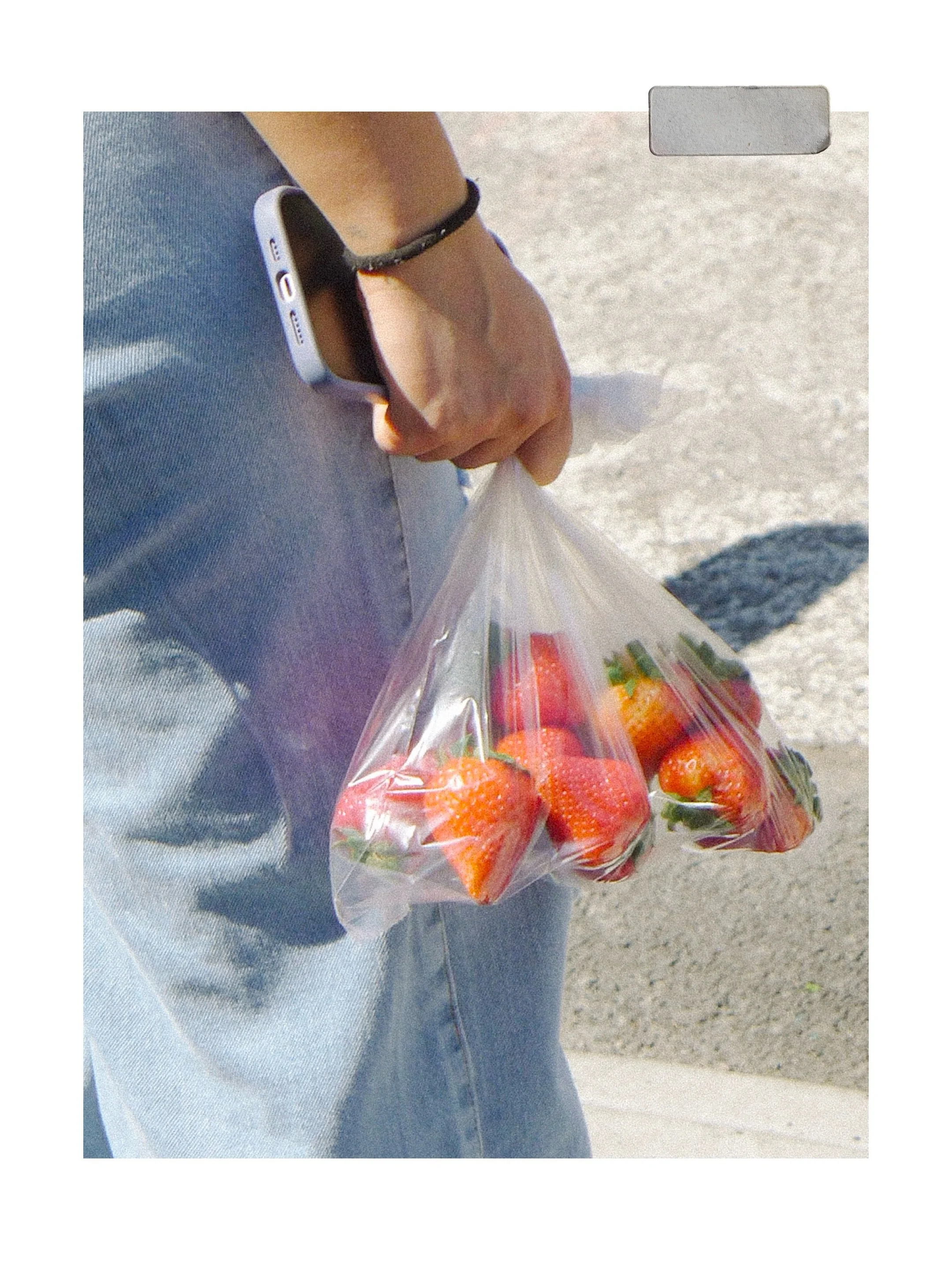 sur le chemin du march&eacute; 🌞🍅
j&rsquo;ai retrouv&eacute; mes yeux, mon envie de capturer le banal et la vie qui d&eacute;file, trop contente de vous proposer de nouvelles images !!! 

#streetphotography #leica #montreal #slowlife #market