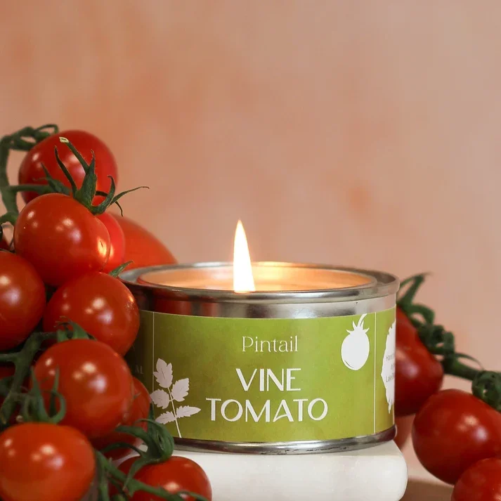 Vine Tomato Paint Pot.webp