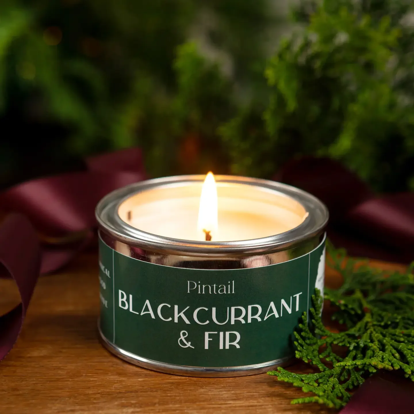 Blackcurrant & Fir Paint Pot.webp