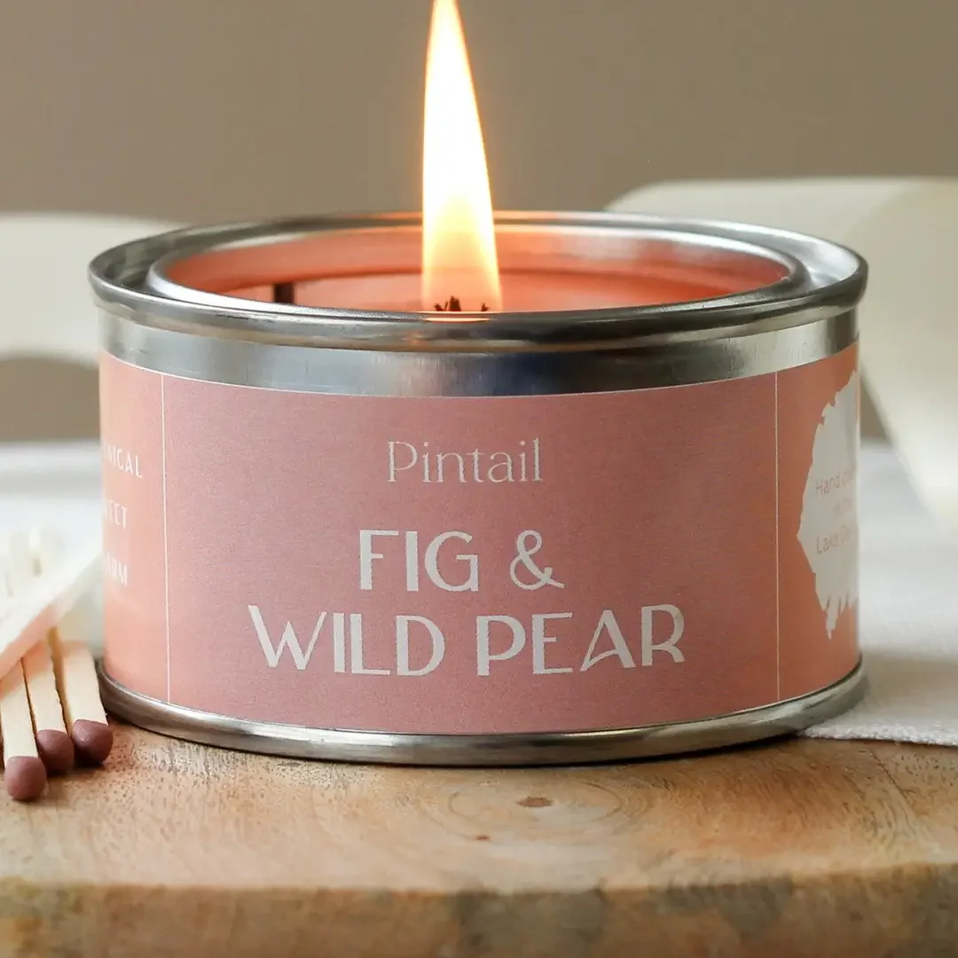 Fig & Wild Pear Paint Pot