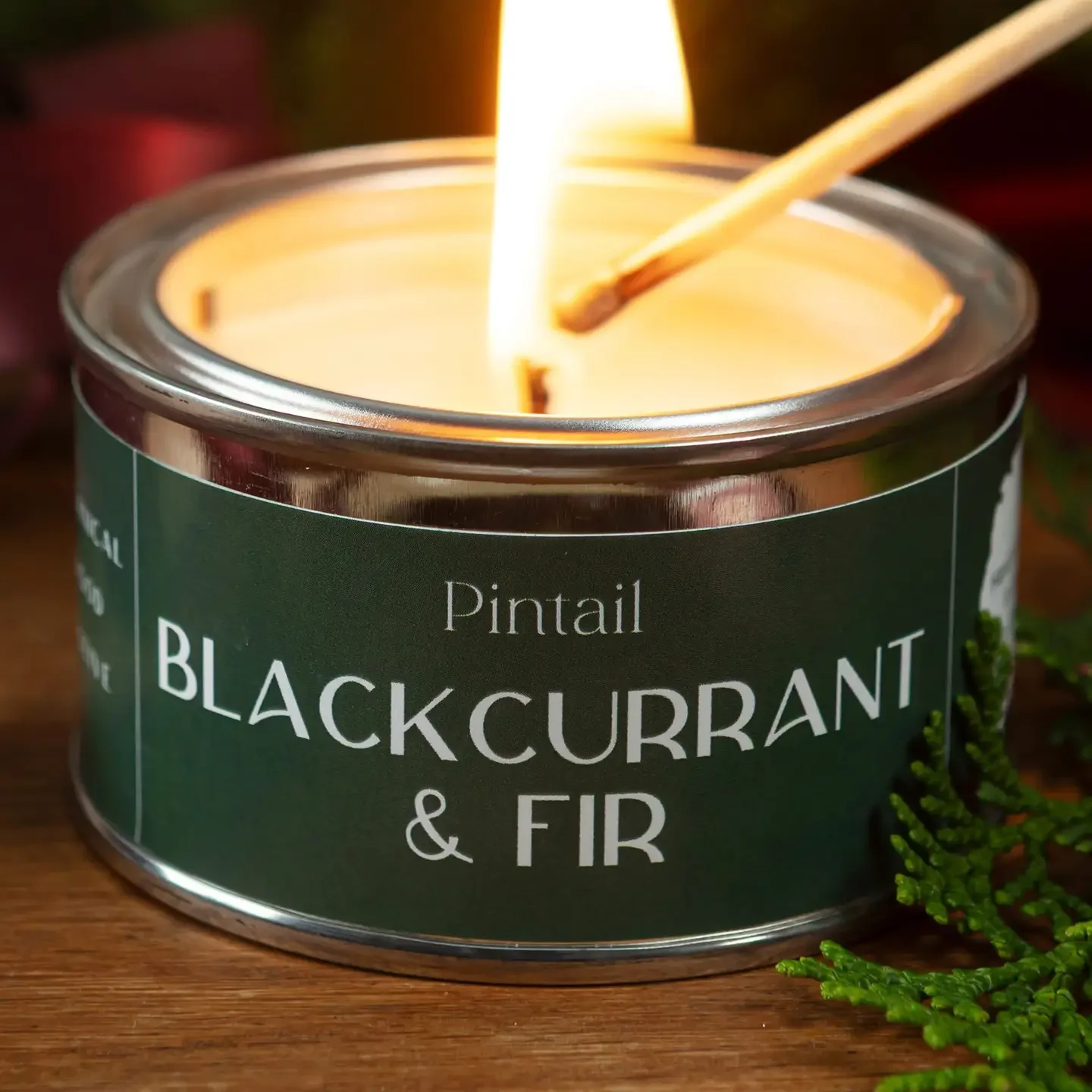 Blackcurrant & Fir Paint Pot 2.webp