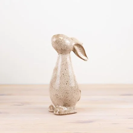 Glazed Bunny