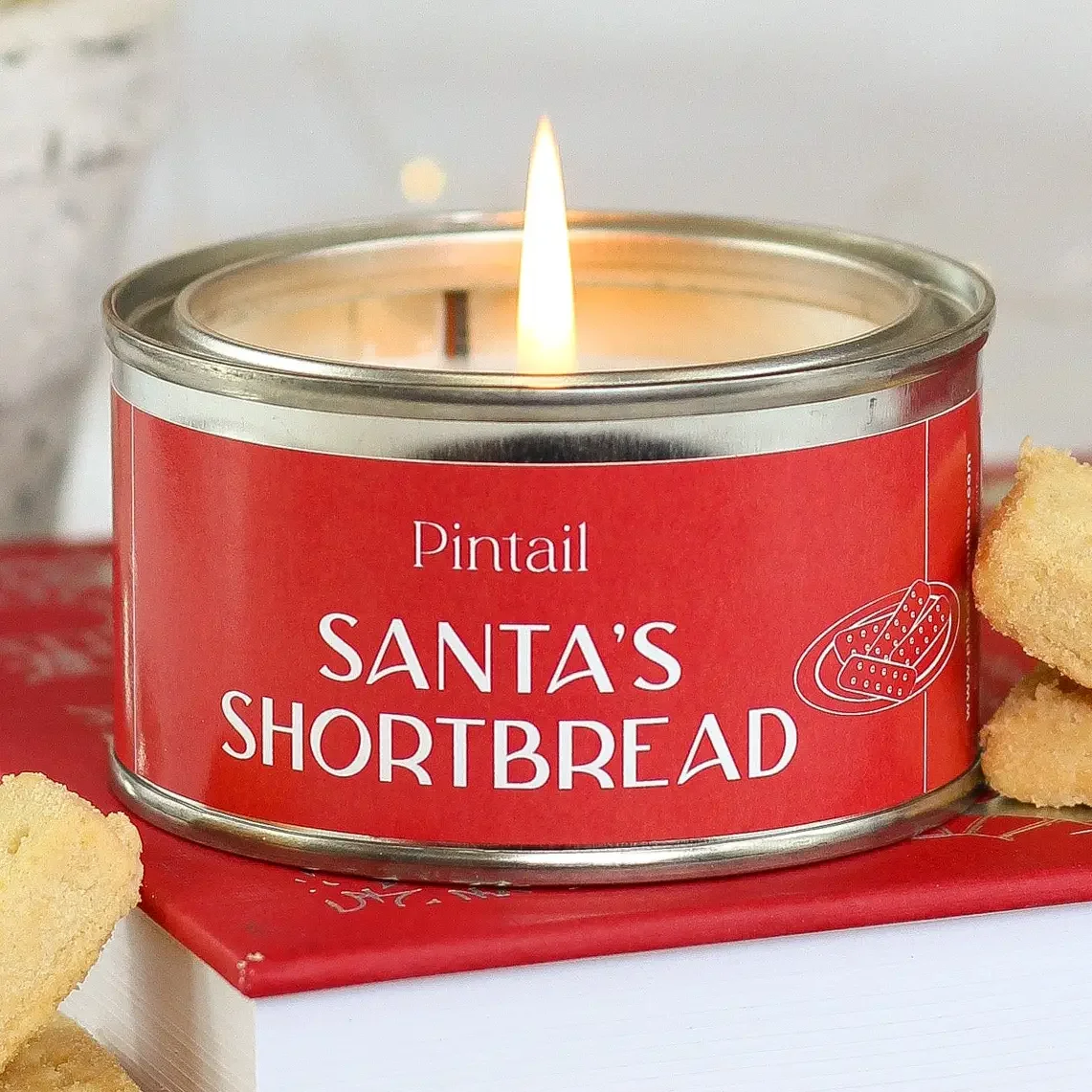 Santa's Shortbread Paint Pot - Preorder