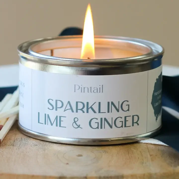 Sparkling Lime & Ginger Paint Pot