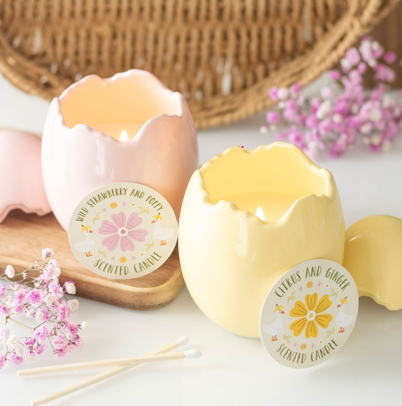 Screenshot 2026-02-27 215327.png