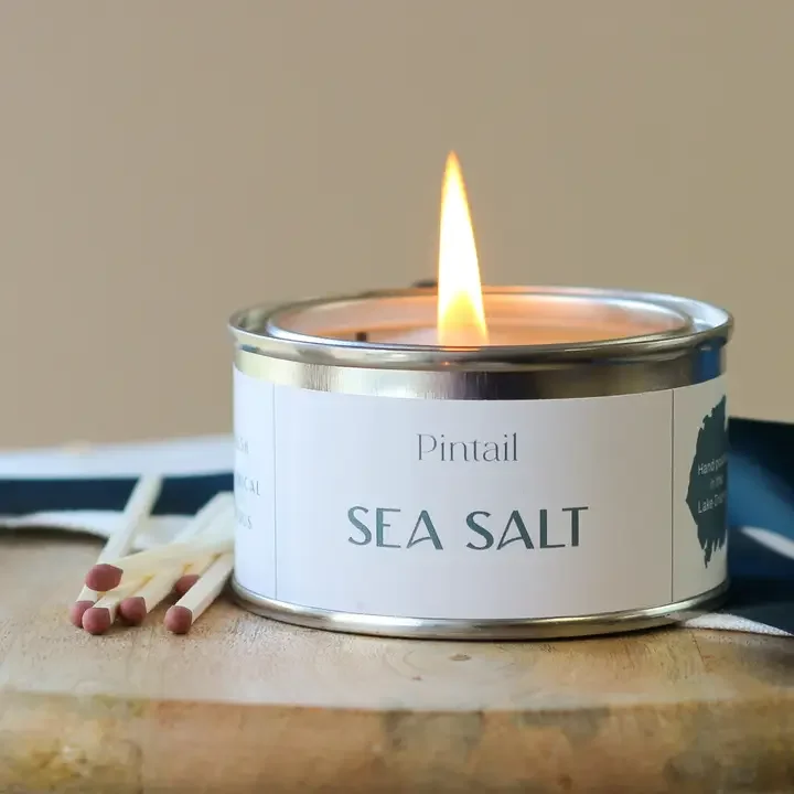 Sea Salt Paint Pot