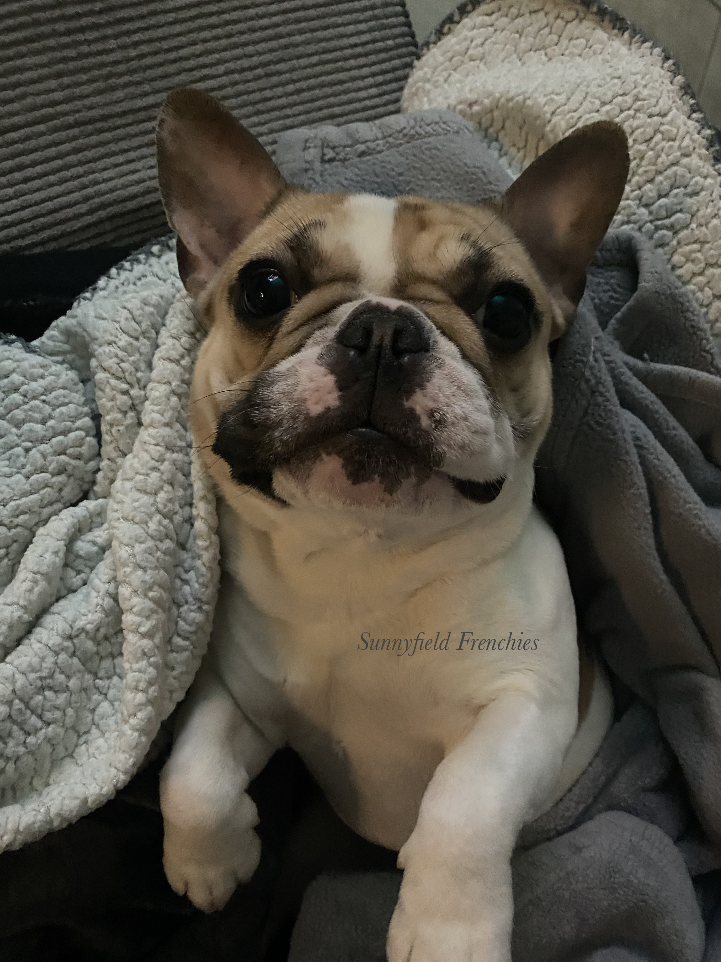 When you tell Gigi she can't have a snack