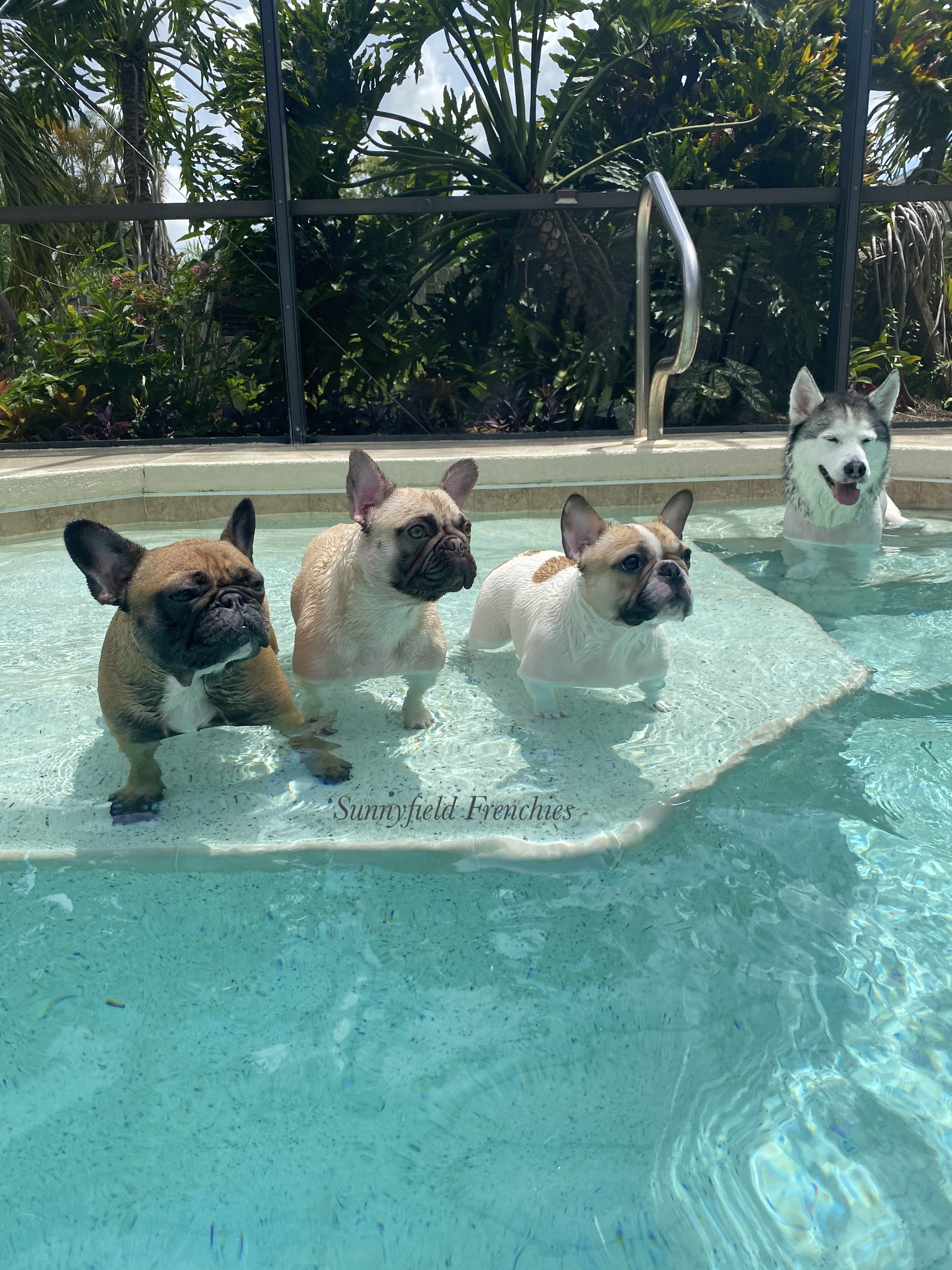 Hot Florida summers call for some pool time!