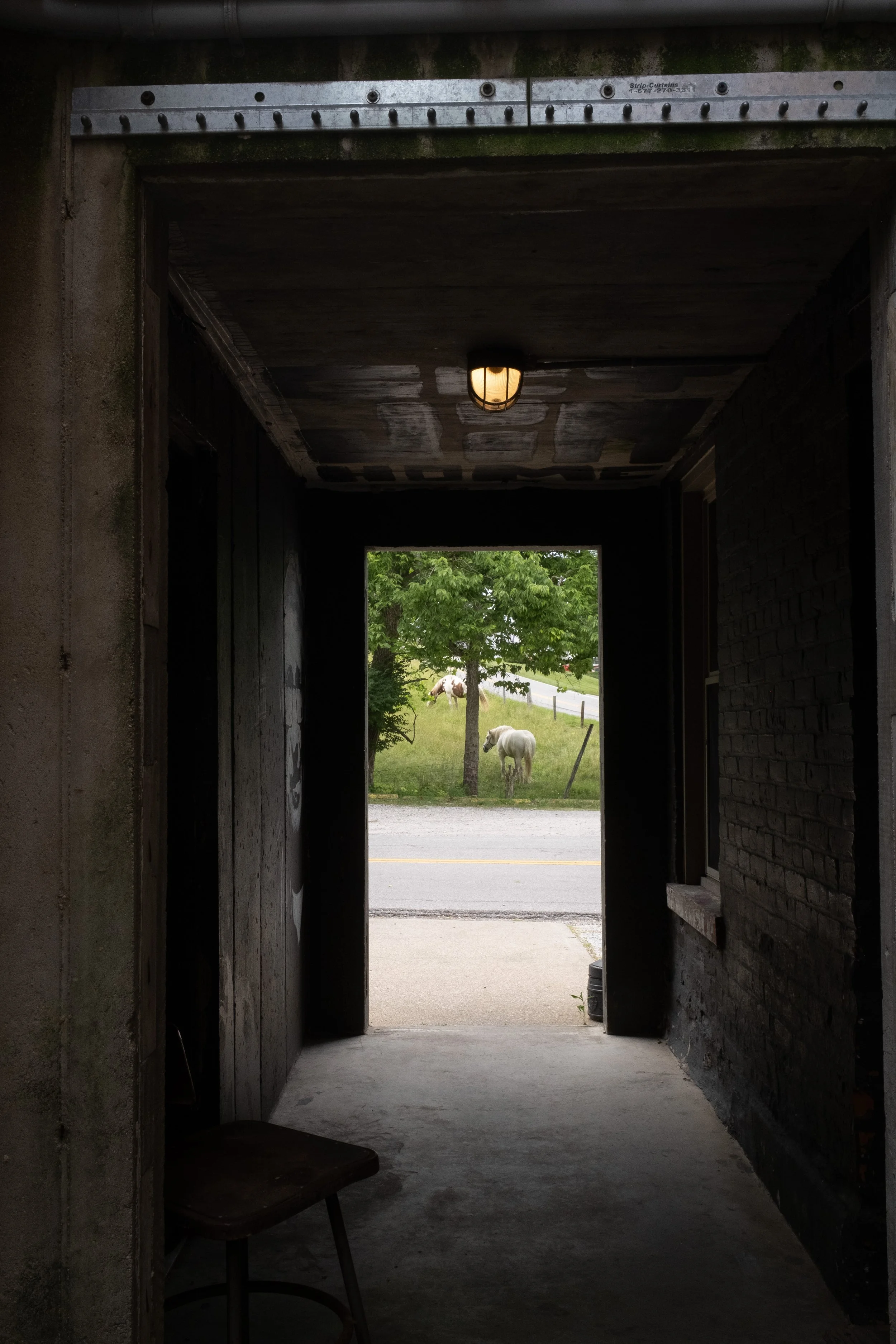 DSCF1795.jpg