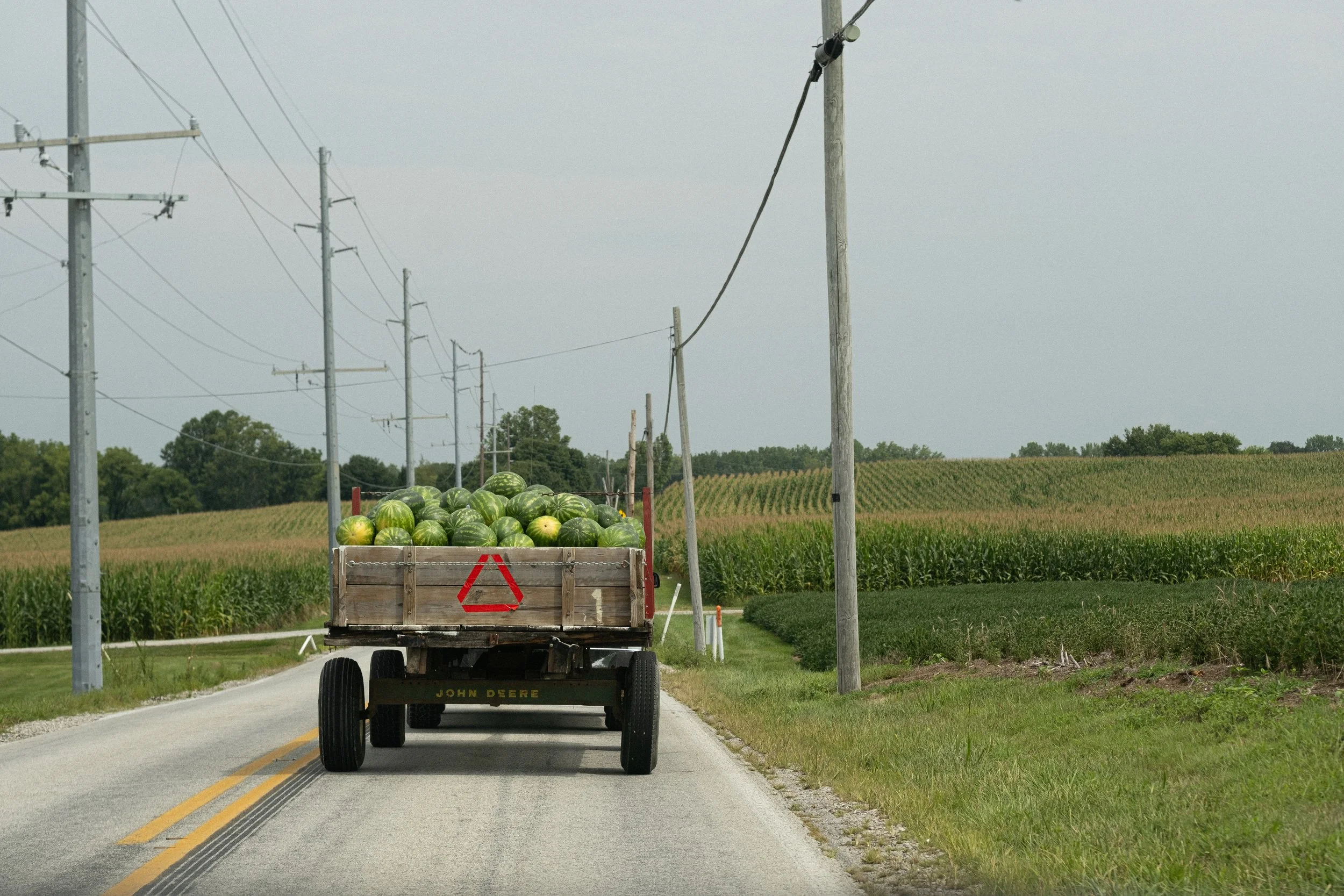 DSCF4874.jpg