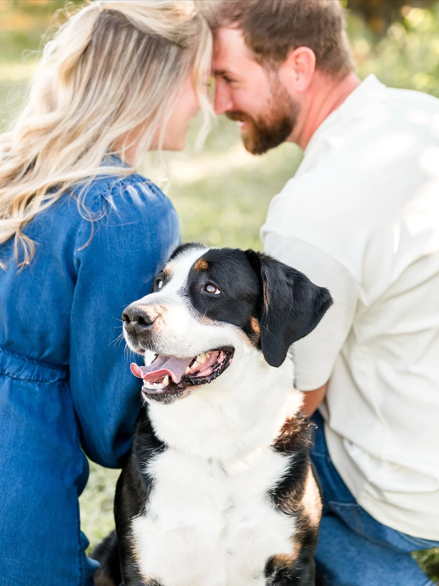 showing all the love for Sheeba! this adorable pup joined her parents for a delightful photo shoot at the orchard.
.
.
.
#dogsarefamilytoo #berkscountyphotographer #lancastercountyphotographer #lehighvalleyphotographer #pennsylvaniaphotographer #niko