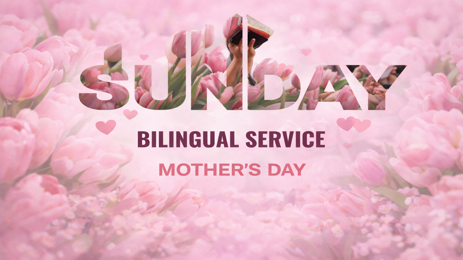 Bilingual Service / Servicio Bilingüe
