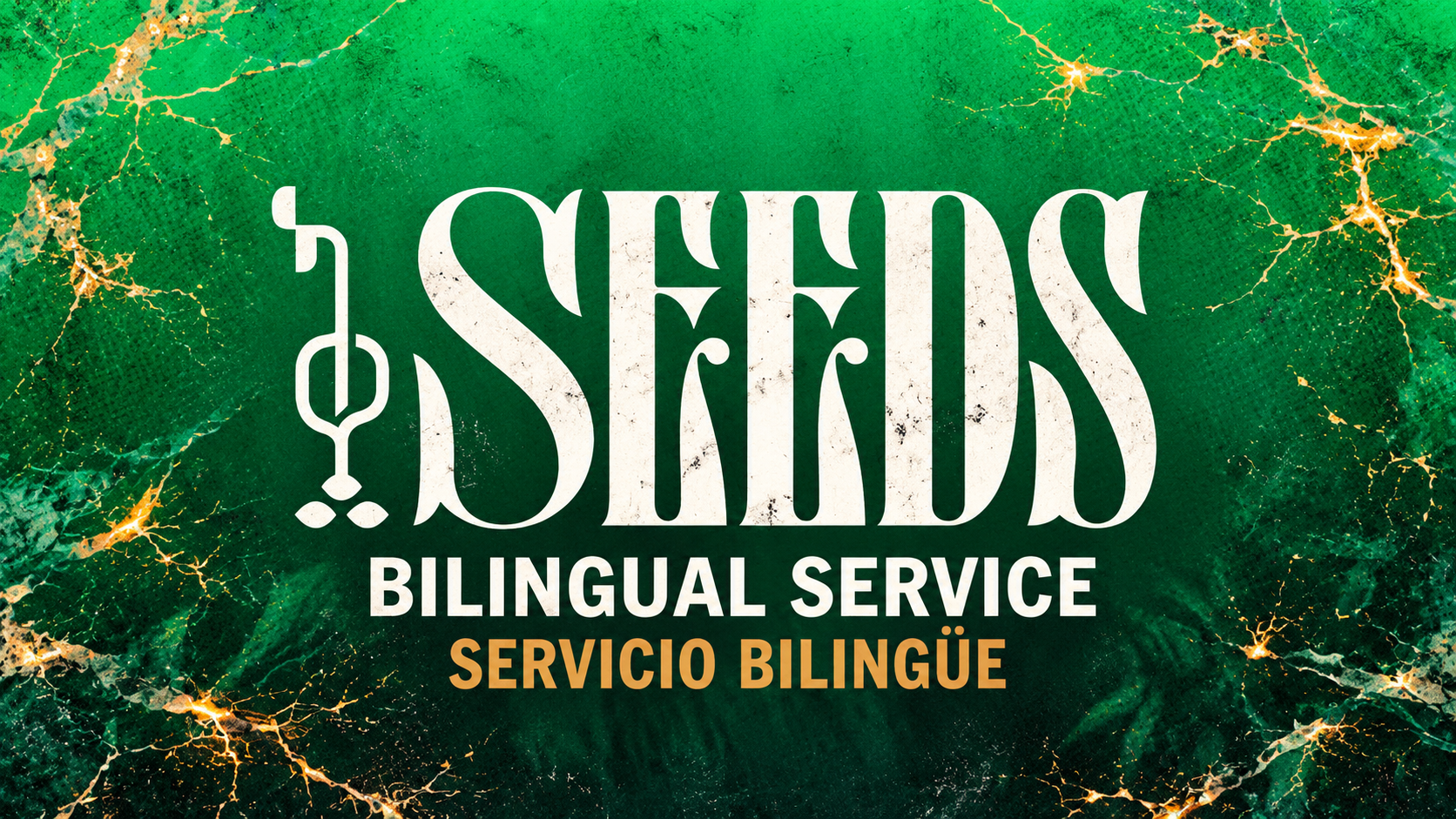 Sunday Seeds Service 