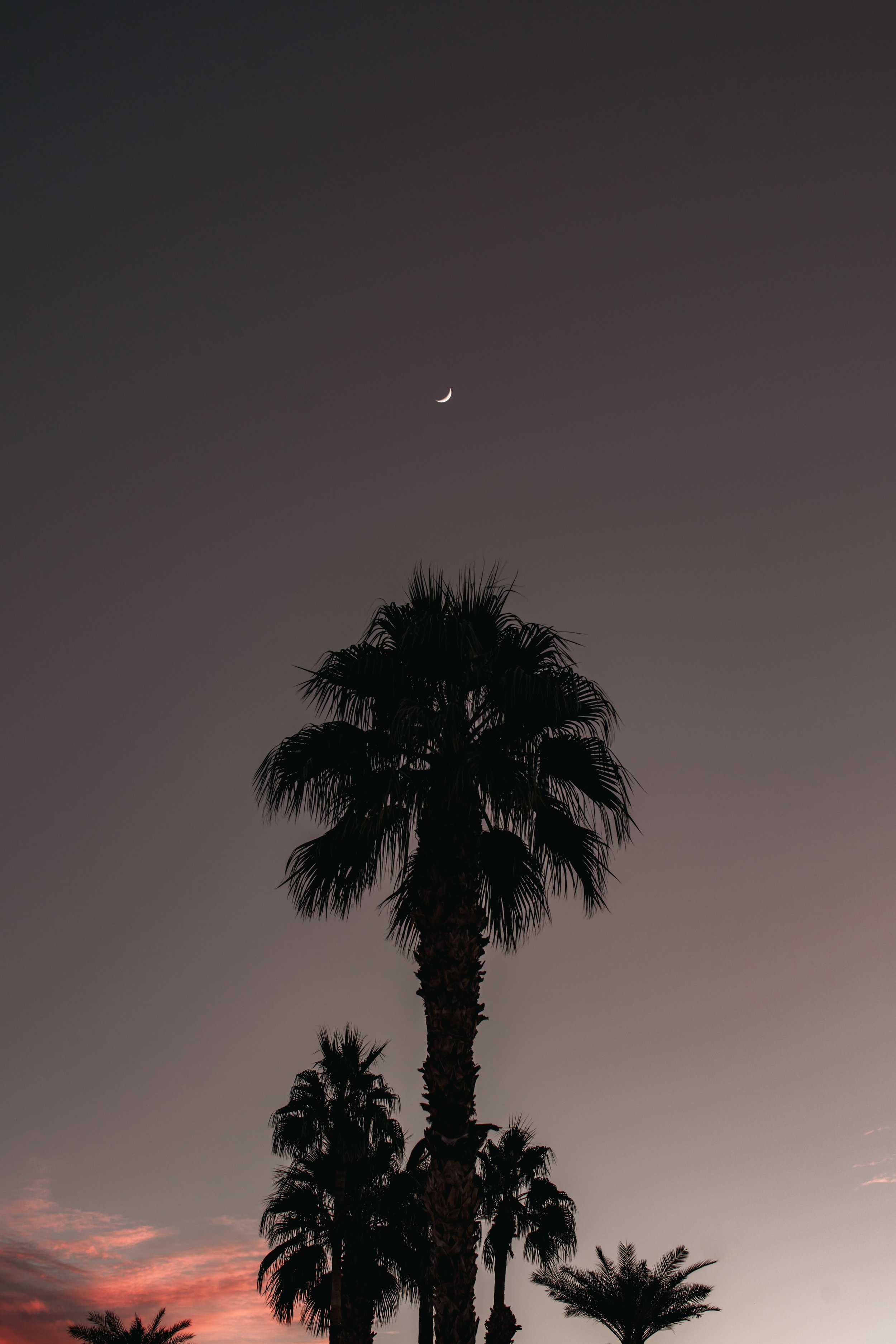 Palm Springs - “Dust Tones and Deep Shadows”