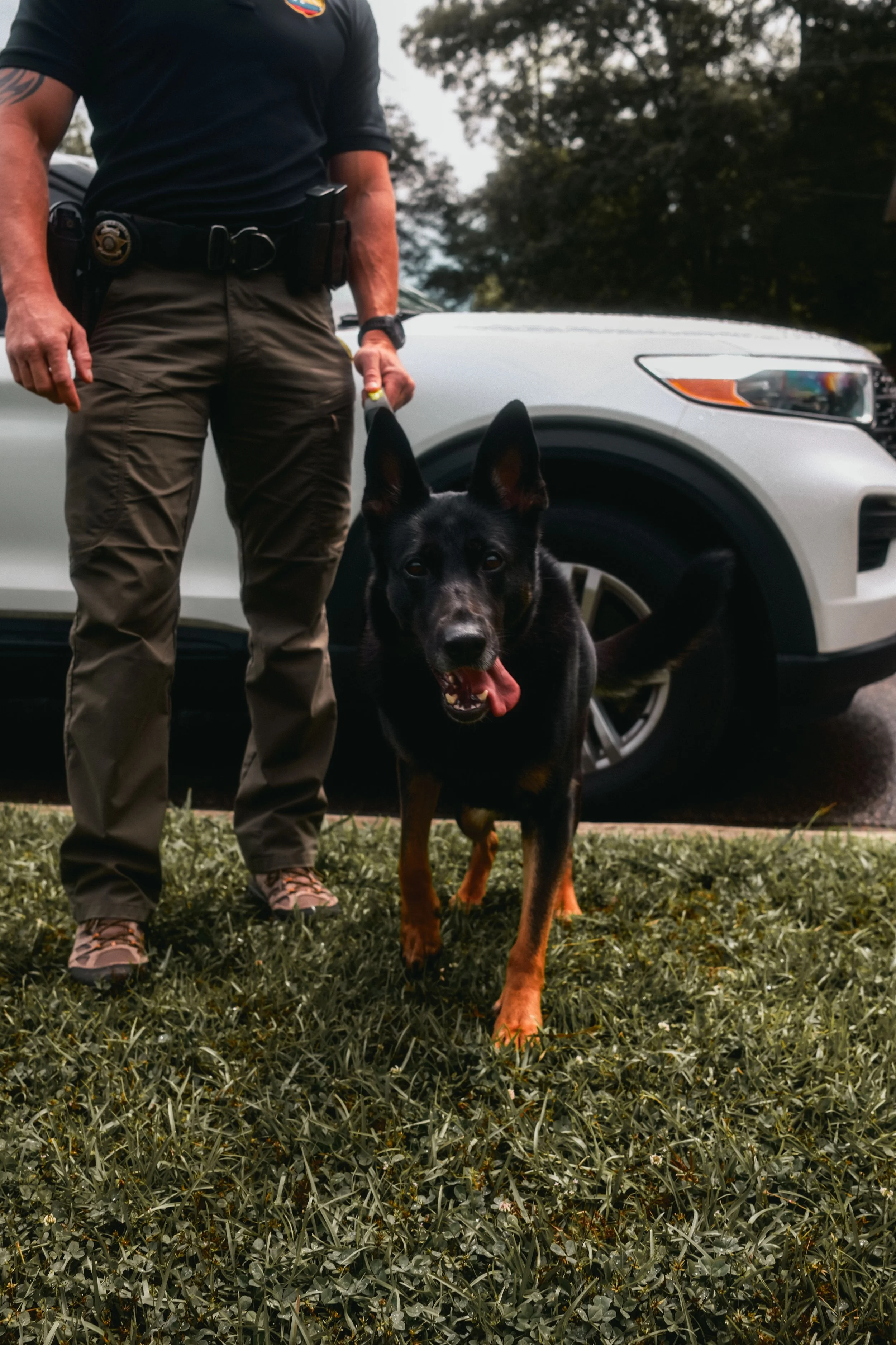 Behind the Scenes with Detection Dogs