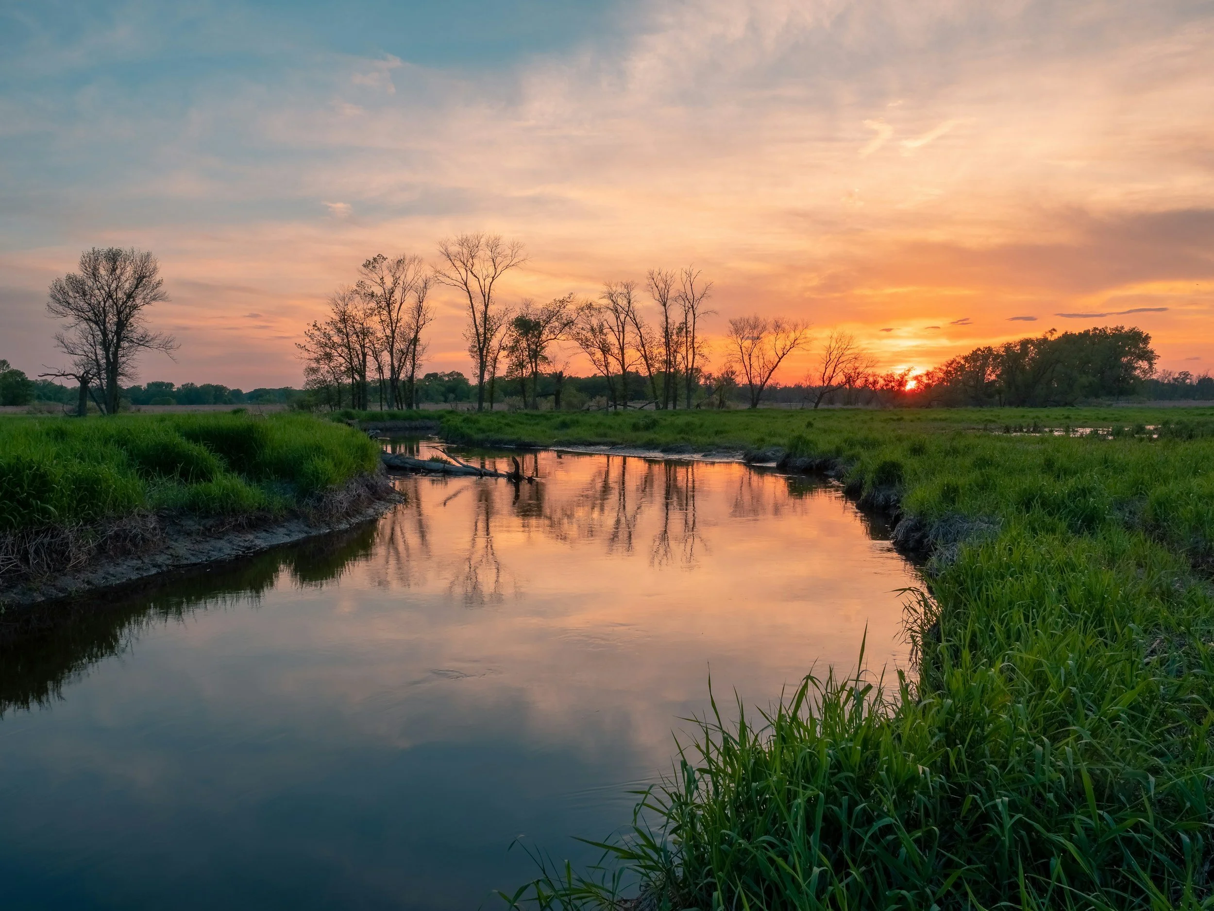 River landscape at sunset with green grass and bare trees reflecting on the water.