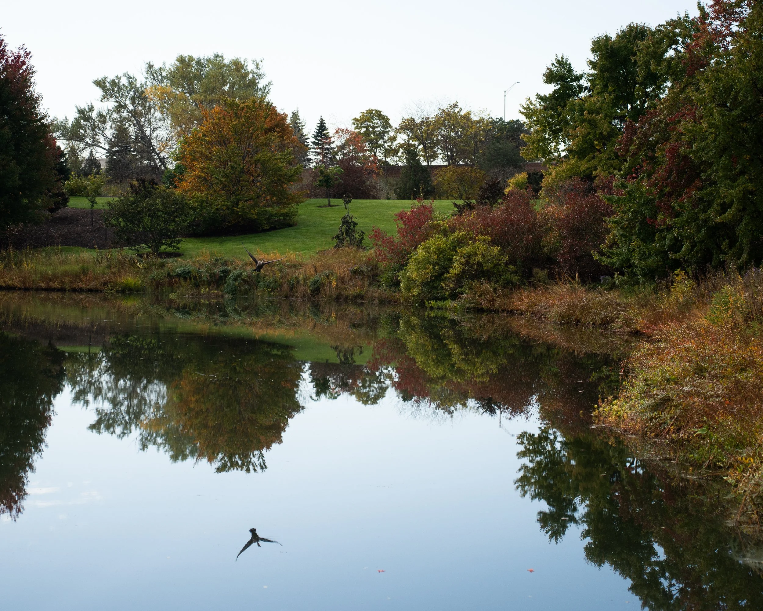 _DSC7865-Edit.jpg