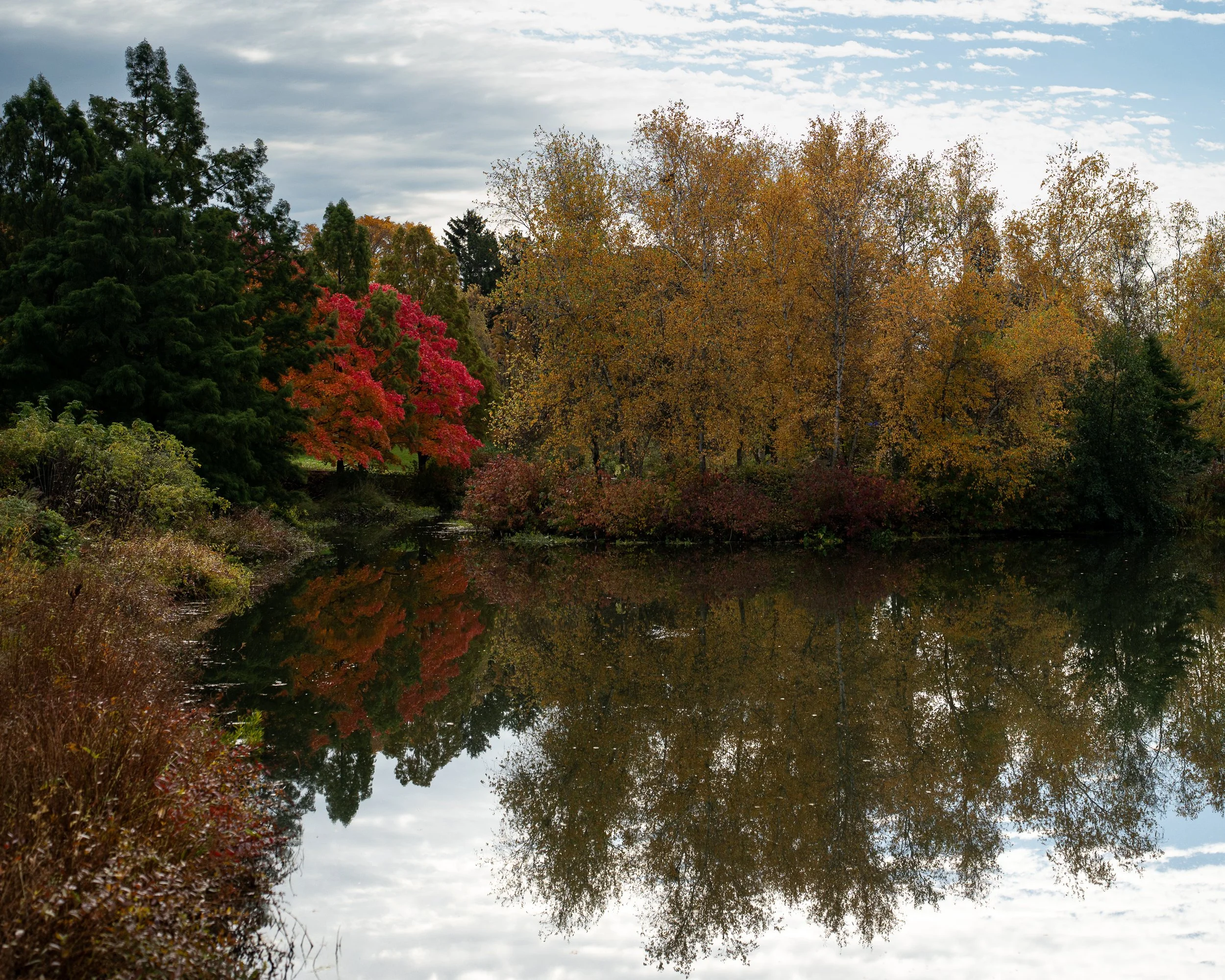 _DSC7871.jpg
