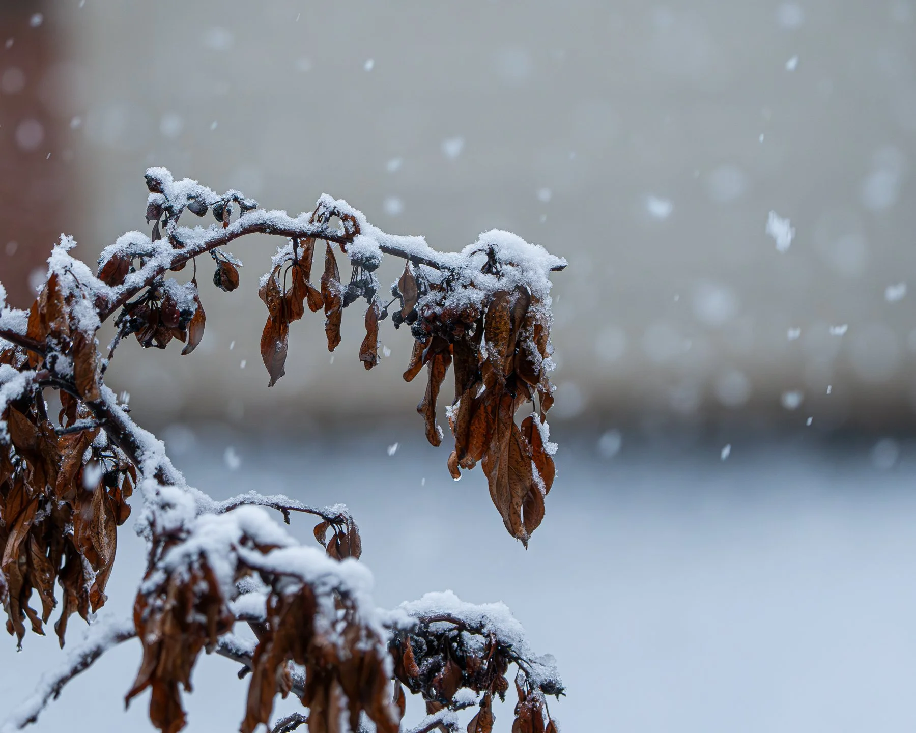untitled shoot-9016-Enhanced-NR.jpg