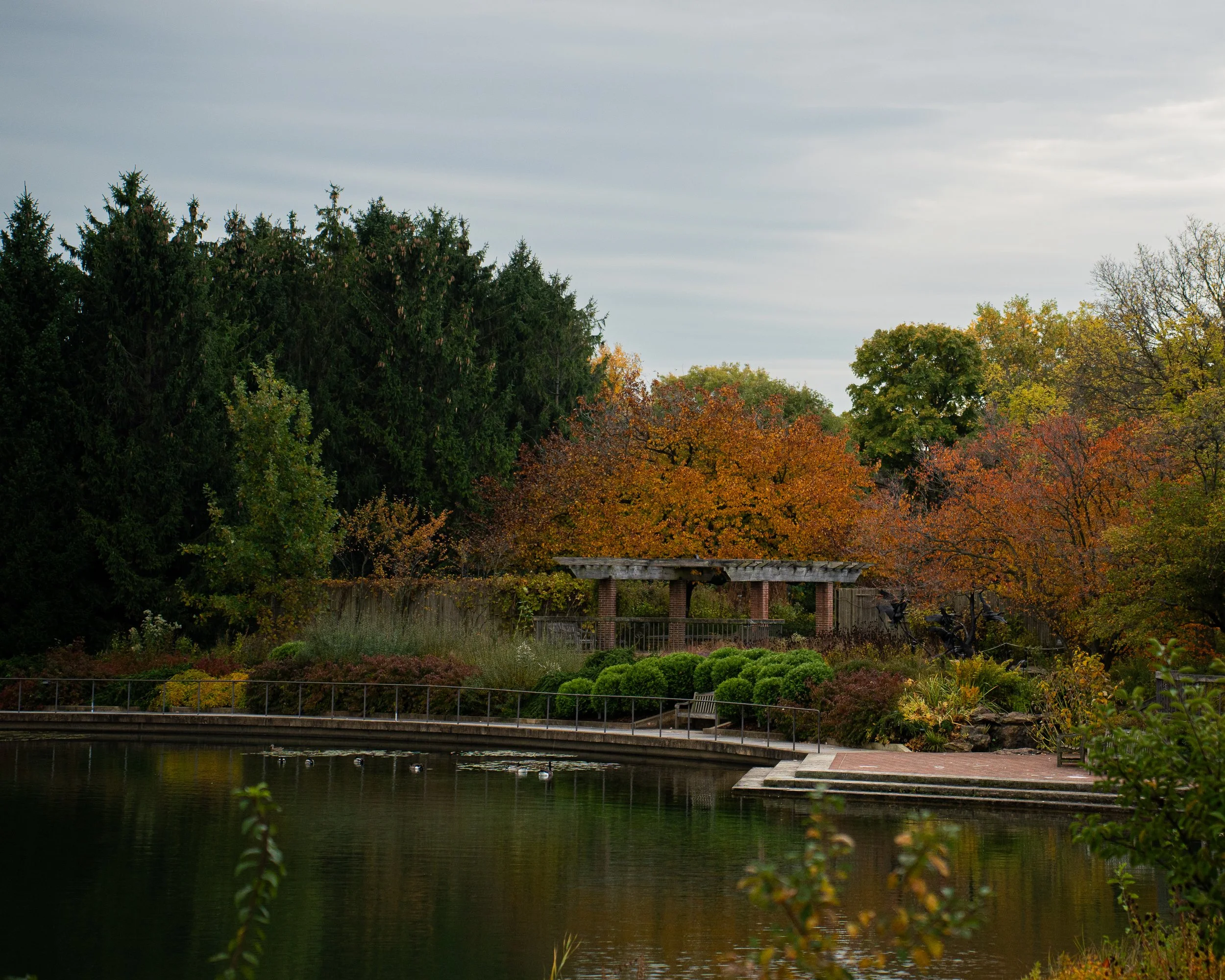 _DSC7787.jpg
