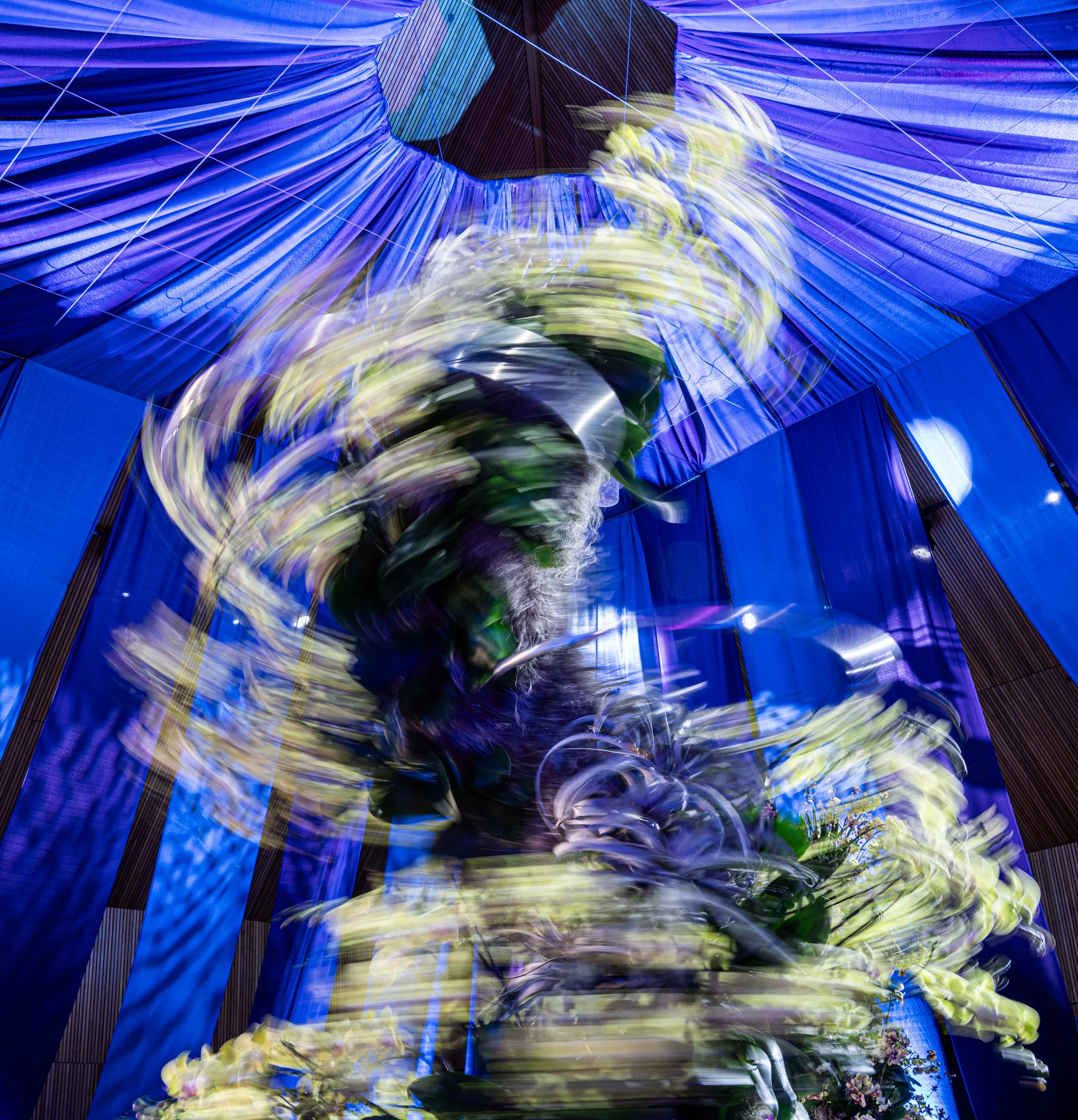 Orchid Show Swirling.jpg