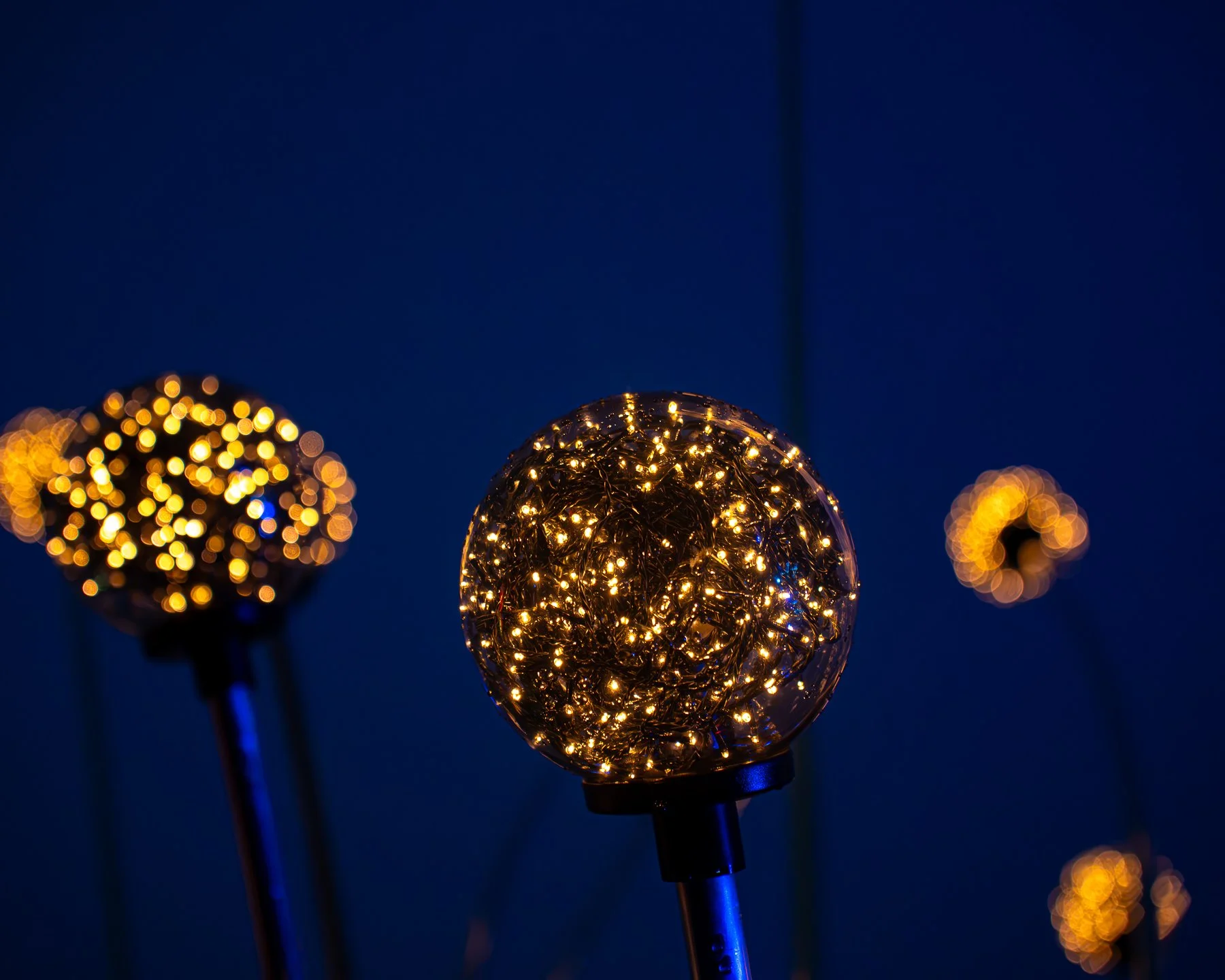 untitled shoot-8875-Enhanced-NR.jpg