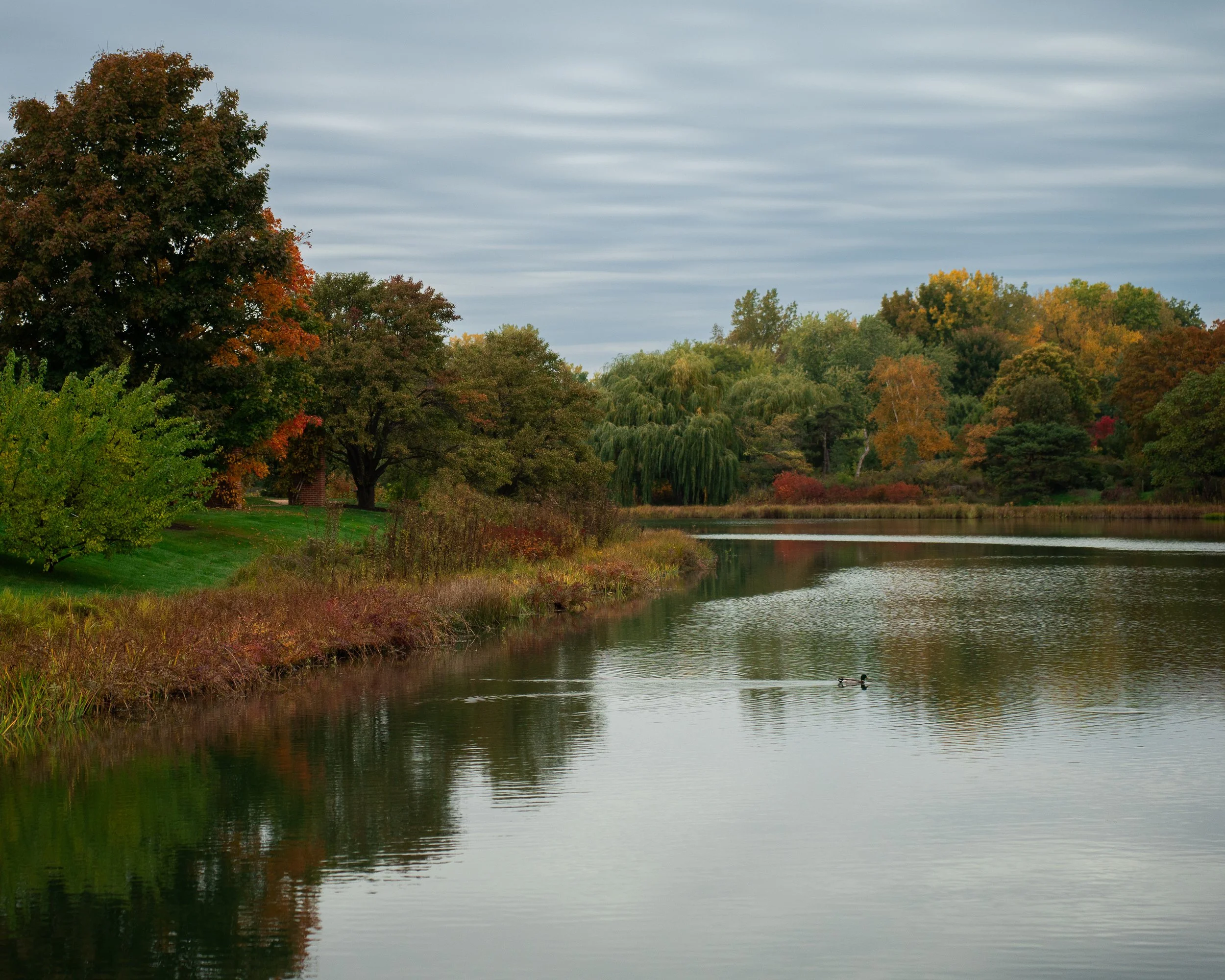 _DSC7611.jpg