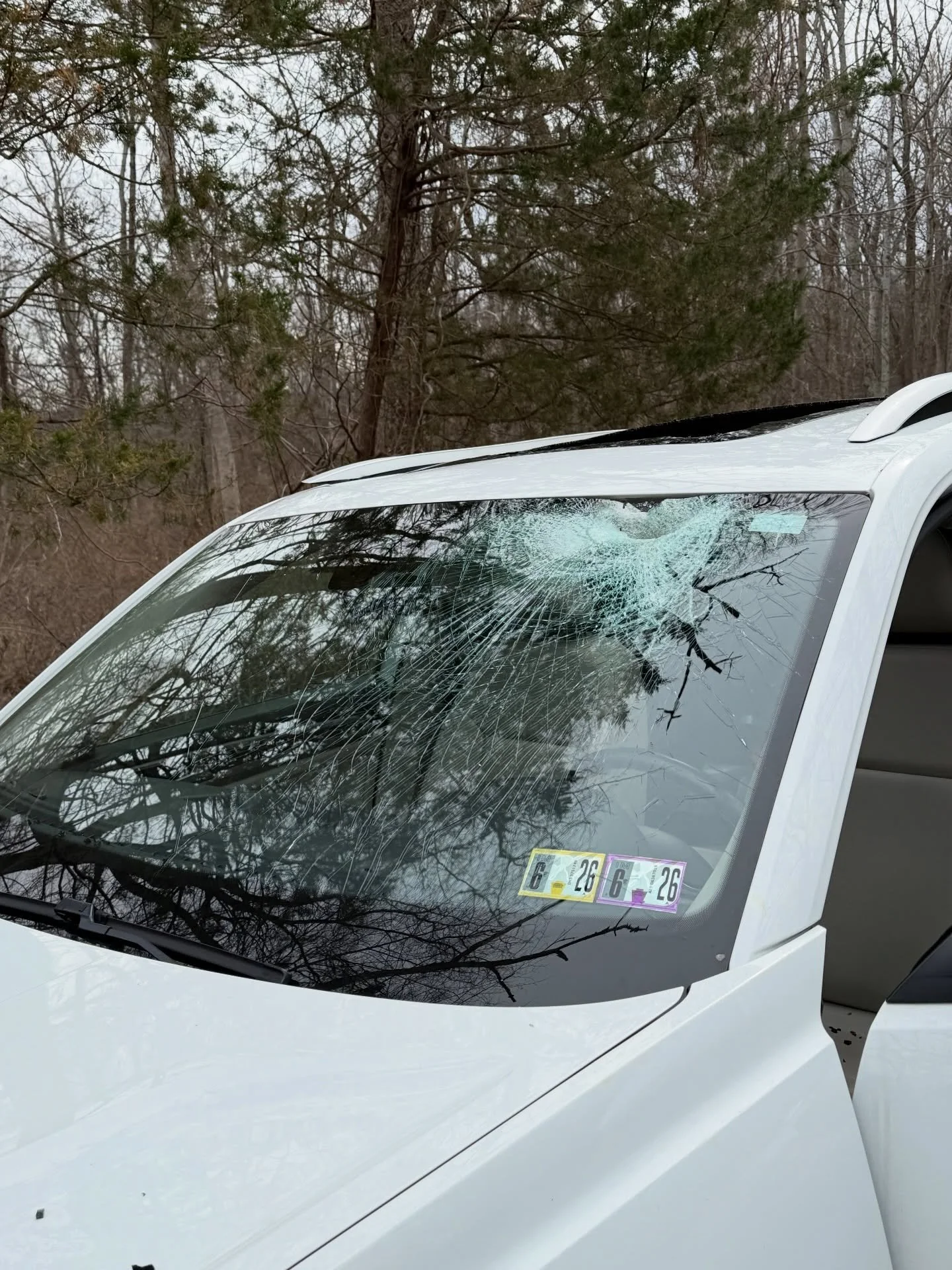 Some days change you in a single moment.

Friday, on my way to pick up my kids, something unthinkable happened. A tree came down and hit my car while I was driving. In an instant, everything went from normal to terrifying.

There are moments in life 