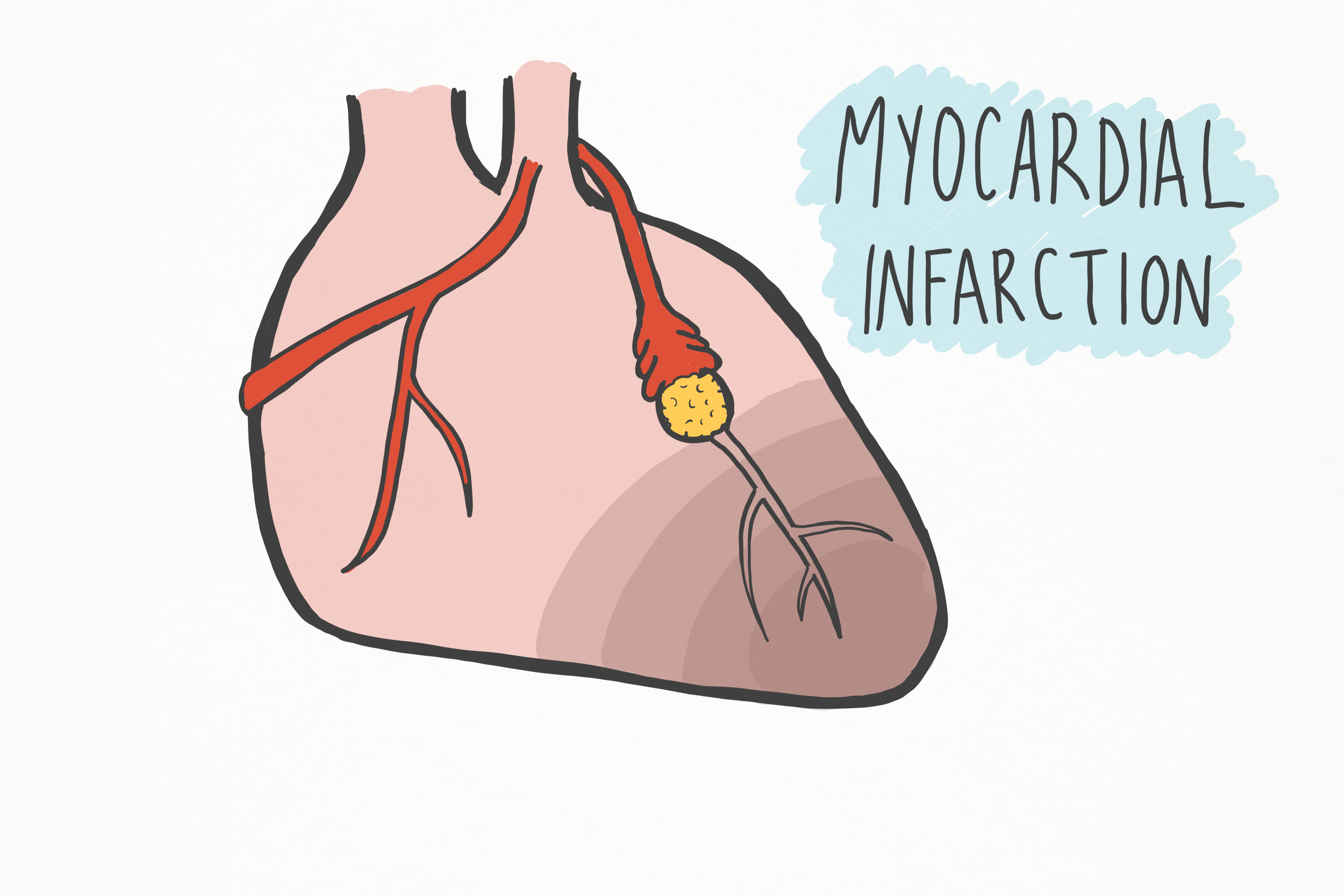 Primary Care _Cardiology page16.png