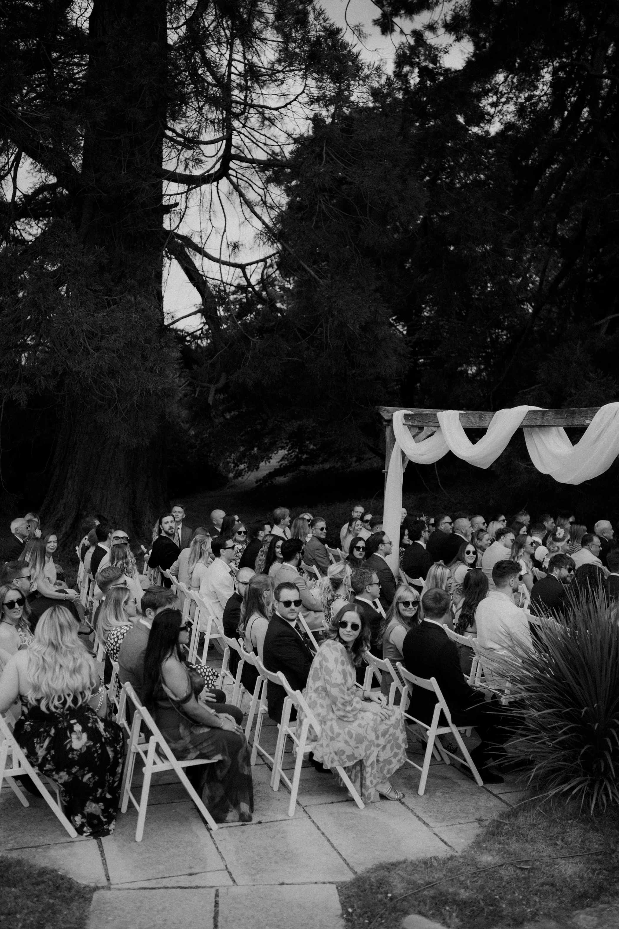 An outdoor wedding ceremony with seated guests, some wearing sunglasses, under a large tree with draped fabric decorations.