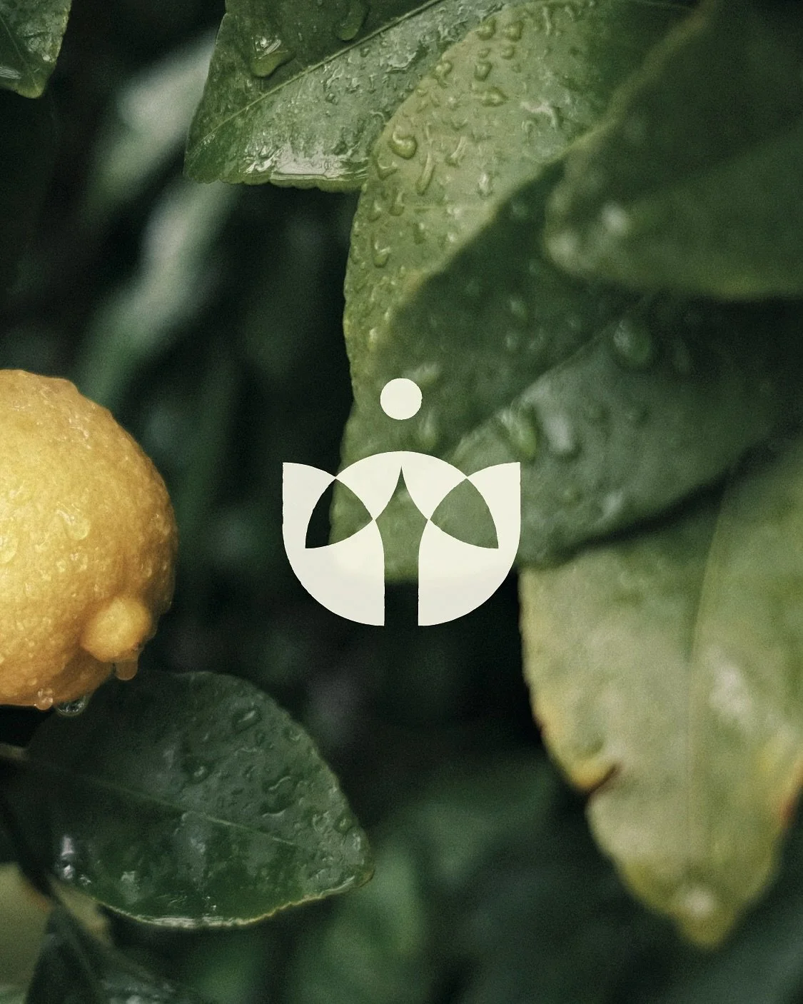 🐝 L&rsquo;histoire d&rsquo;une marque vibrante

Quand j&rsquo;ai travaill&eacute; sur l&rsquo;identit&eacute; visuelle d&rsquo;Ysol&eacute;, j&rsquo;ai voulu capturer cette &eacute;nergie vibrante qui &eacute;mane de leur engagement pour la nature. 