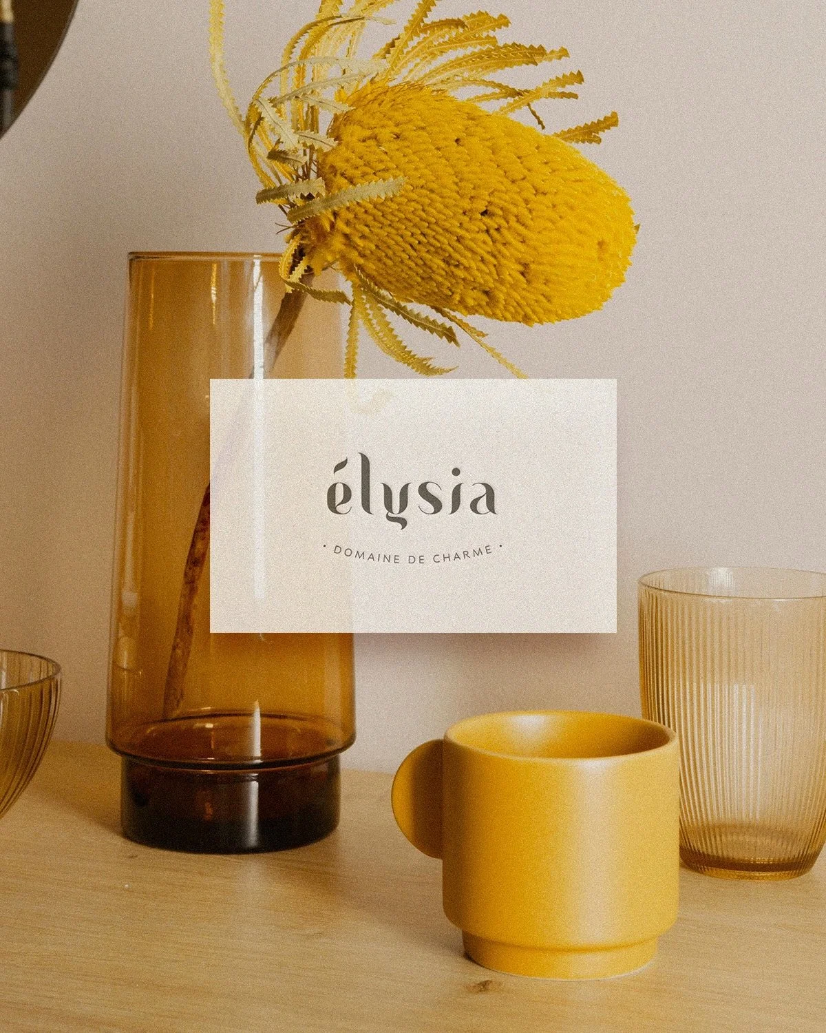 Quand la nature rencontre le raffinement 🍃

Travailler sur l&rsquo;identit&eacute; visuelle d&rsquo;&Eacute;lysia, c&rsquo;&eacute;tait un peu comme cr&eacute;er un cocon visuel.

Ce que j&rsquo;ai aim&eacute; dans ce projet ? C&rsquo;est qu&rsquo;o