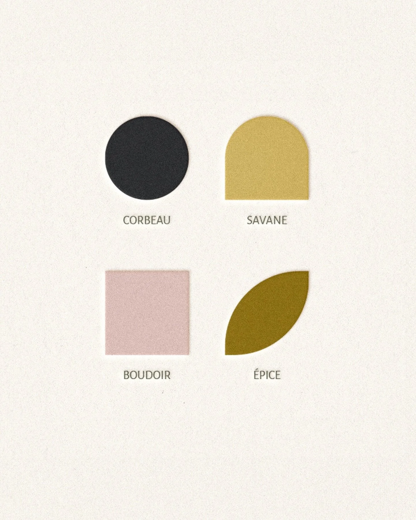 Janvier commence avec une palette de couleurs aux tons r&eacute;tro comme je les aime. ✨

🪶 Corbeau : un noir profond qui structure et donne du caract&egrave;re.
🌾 Savane : un beige dor&eacute; qui apporte chaleur et lumi&egrave;re.
🌸 Boudoir : un