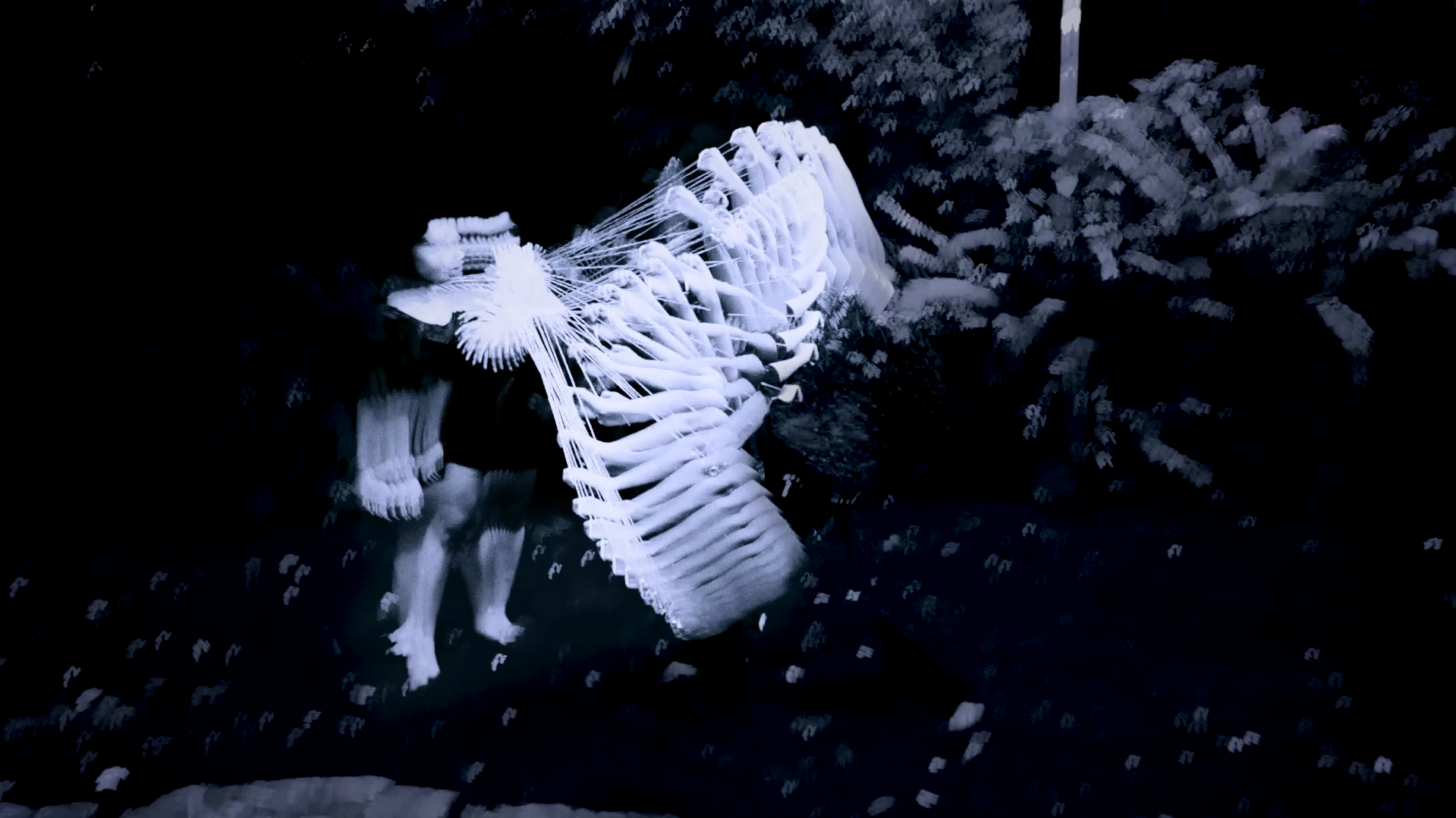 FOLD_STILL_02.png