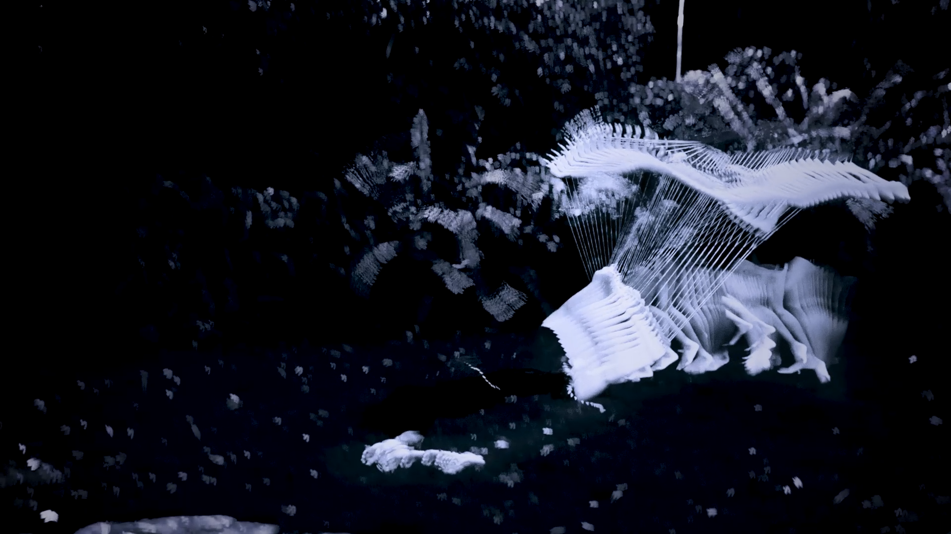 FOLD_STILL_01.png