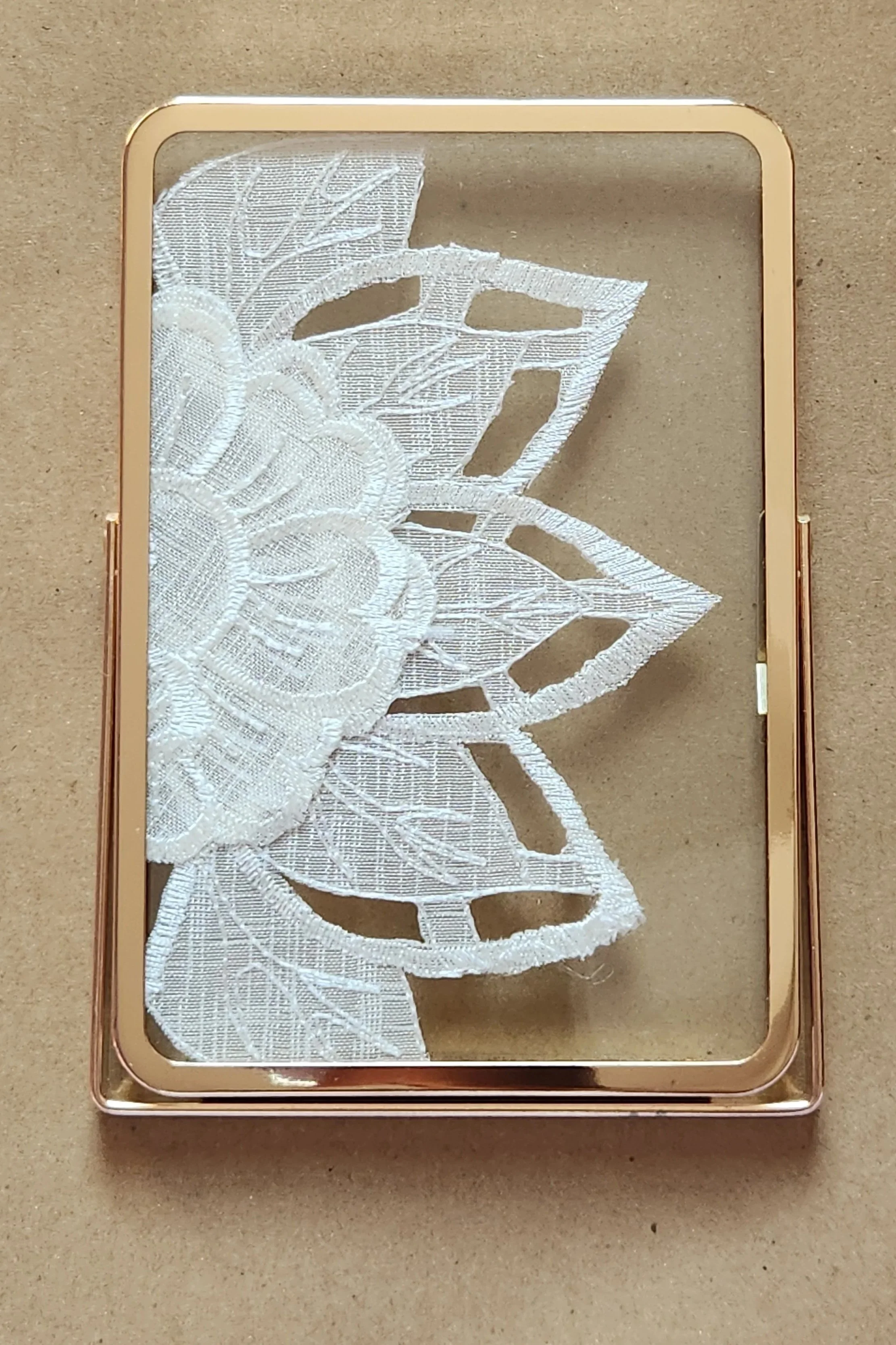Framed Botanical Lace No. 1
