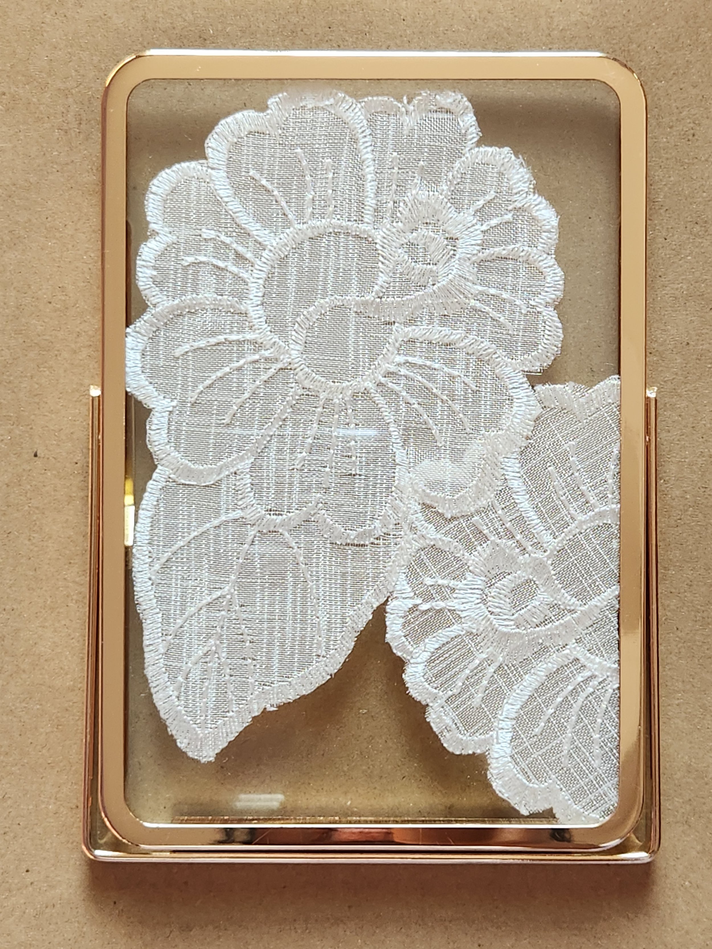Framed Botanical Lace No. 3