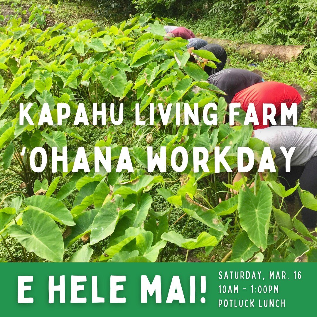 Hui! Join us again for ʻohana workdays at Kapahu Living Farm. Our workdays are usually on the 3rd Saturday of the month from 10 am &ndash; 1 pm. Weʻll be having a potluck lunch to follow!

&lsquo;Ohana, community members and visitors of all ages are 