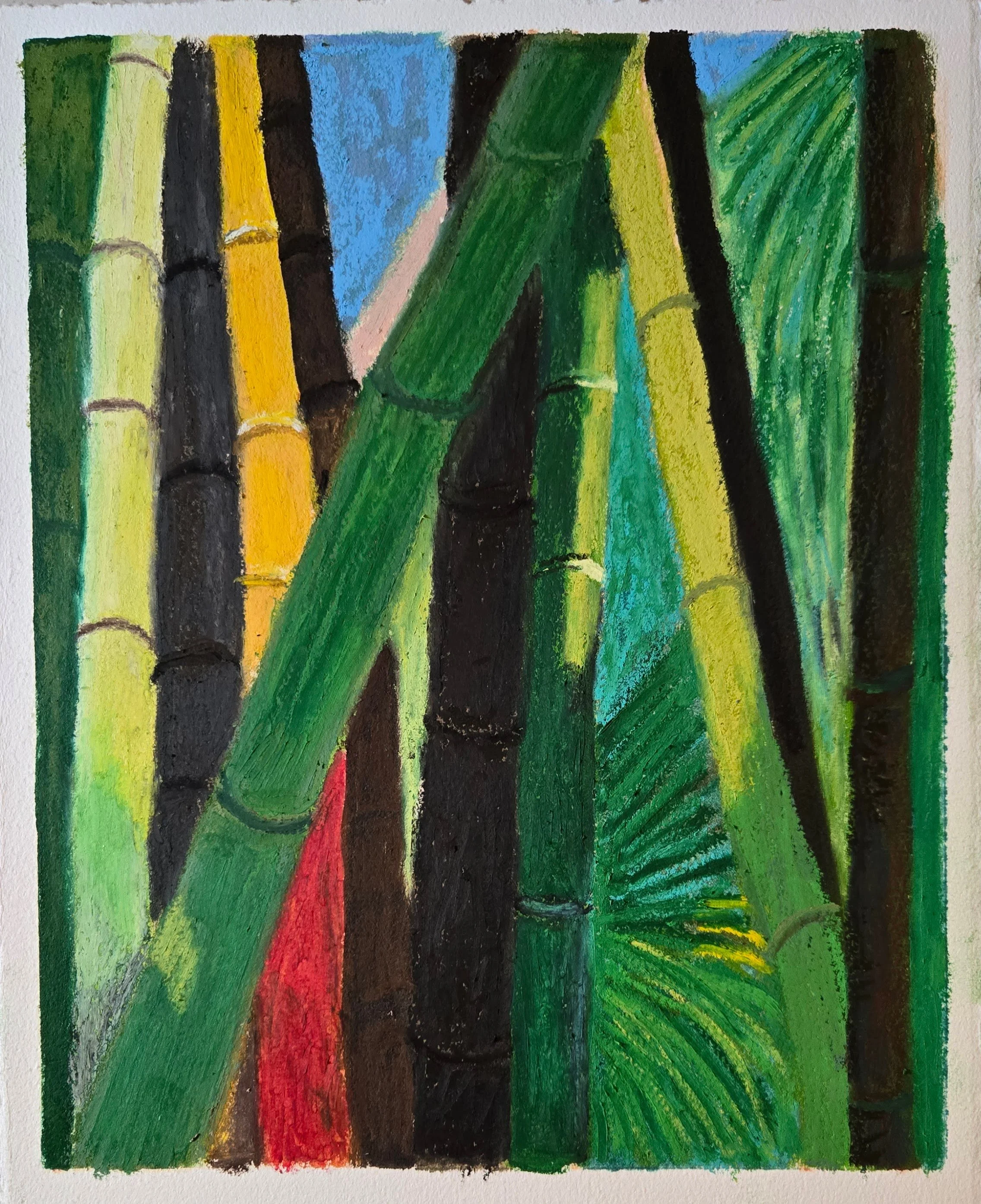 Bamboo study #1, April 2025, oil pastel on paper, 9.,25 in. x 10.75 in.