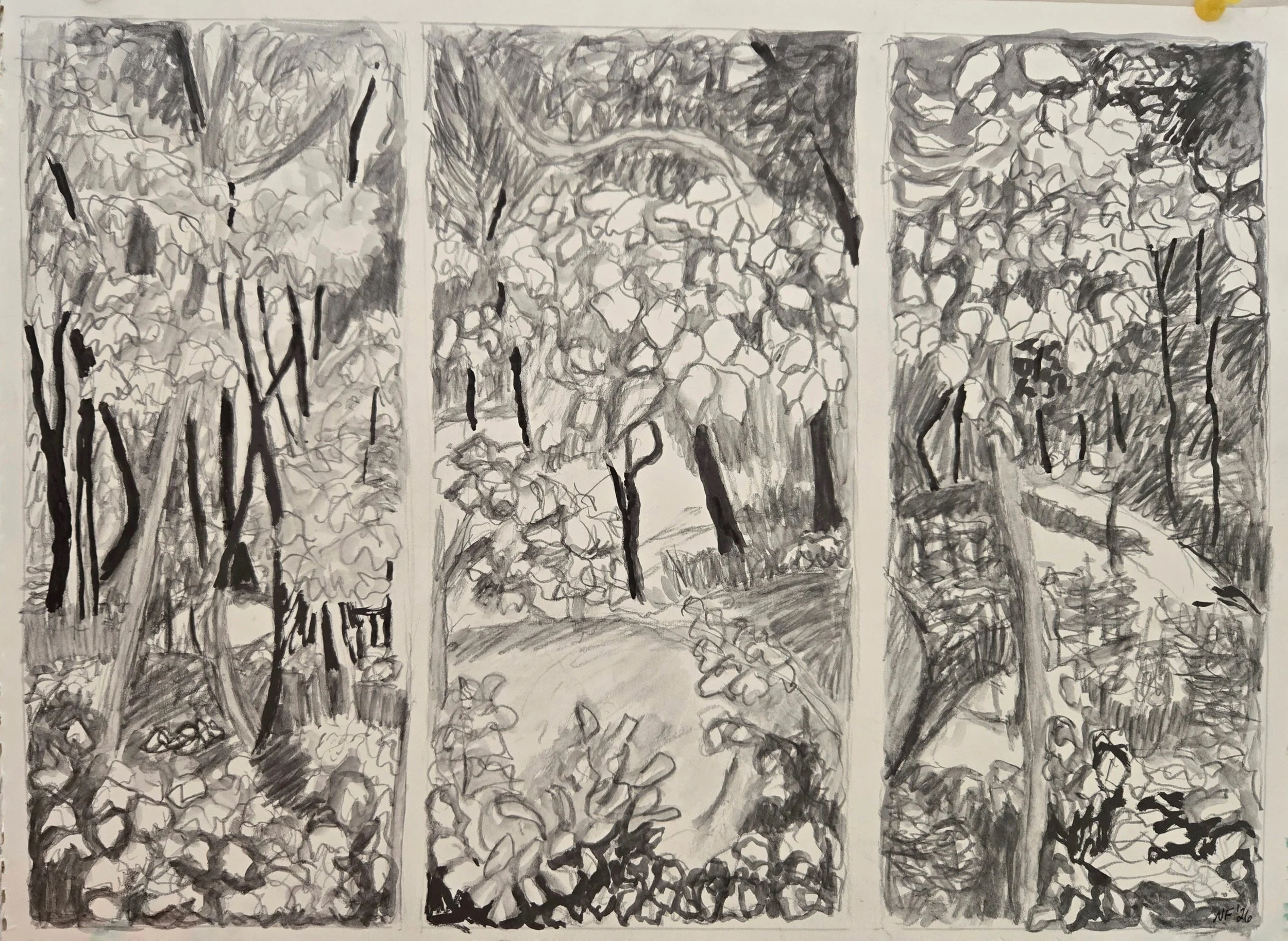 Forest Triptych , 2026, water soluble graphite, 10 in. x 14 in.