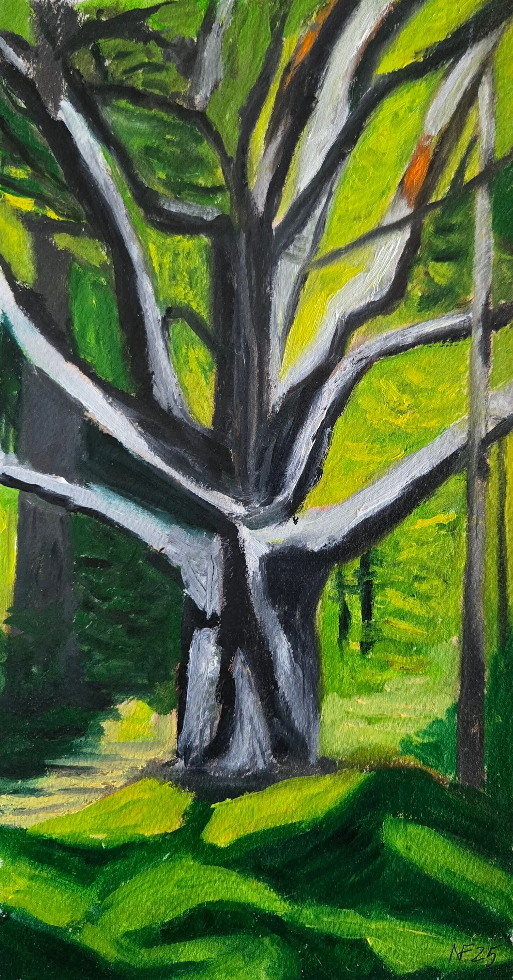 Old Tree, 2026 oil on paper,  5.5 in. x 10.5 in.