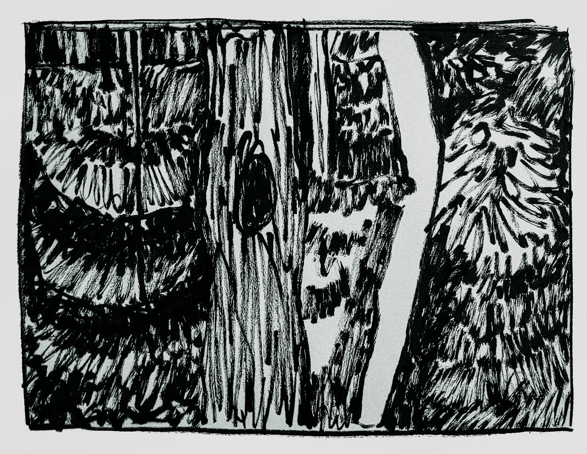 Pines, 2022, ink on paper, 12 in. x 9 in.