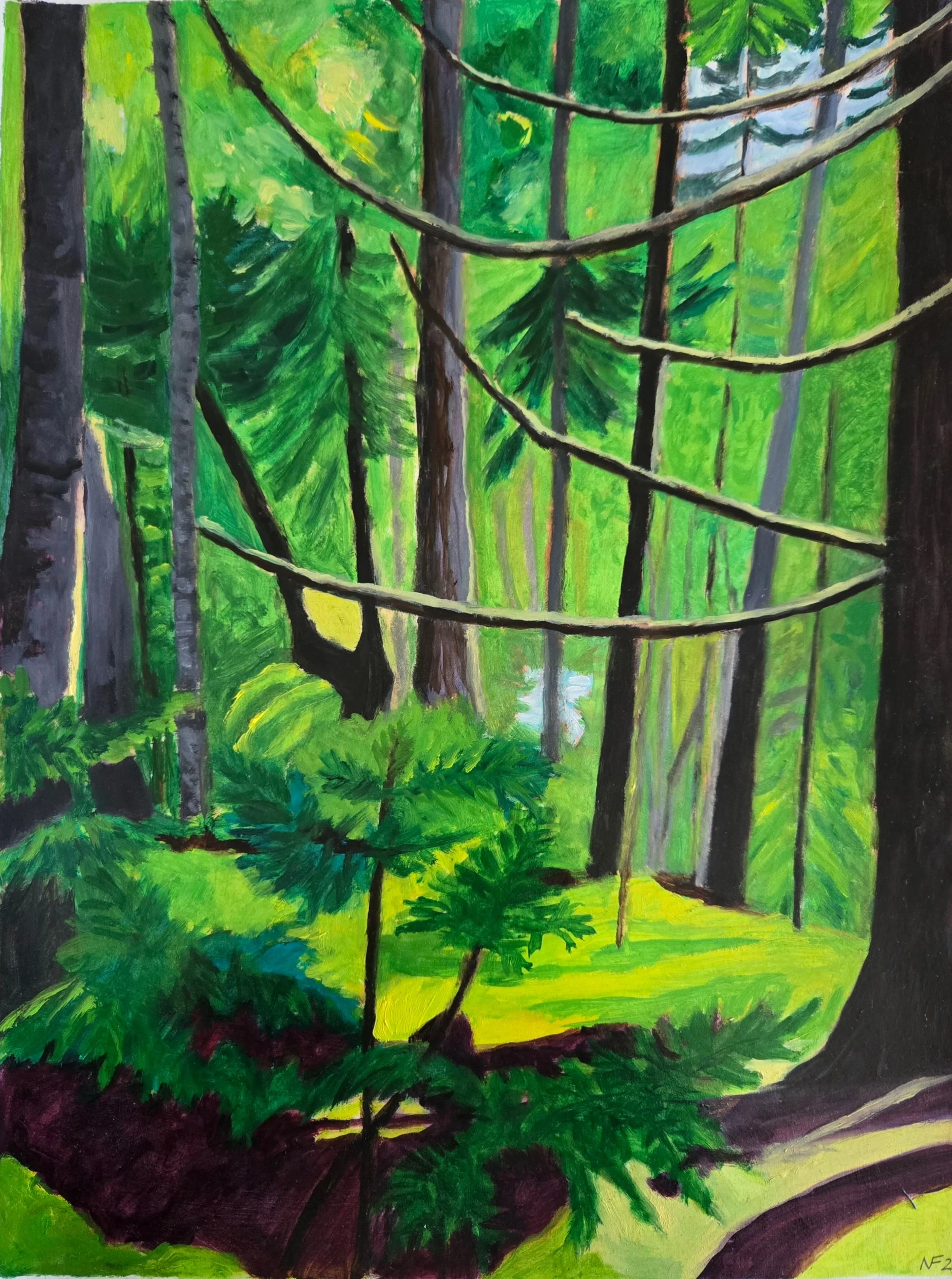 Forest, 2026 oil on paper,  11.5 in. x 15.5 in.