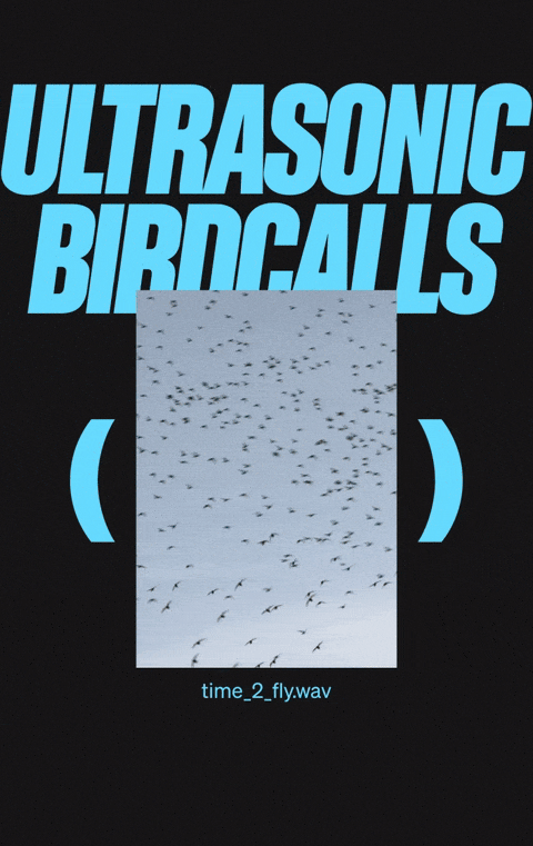 splicecampaign_story_birdscifijazz_22-ezgif.com-crop (1).gif