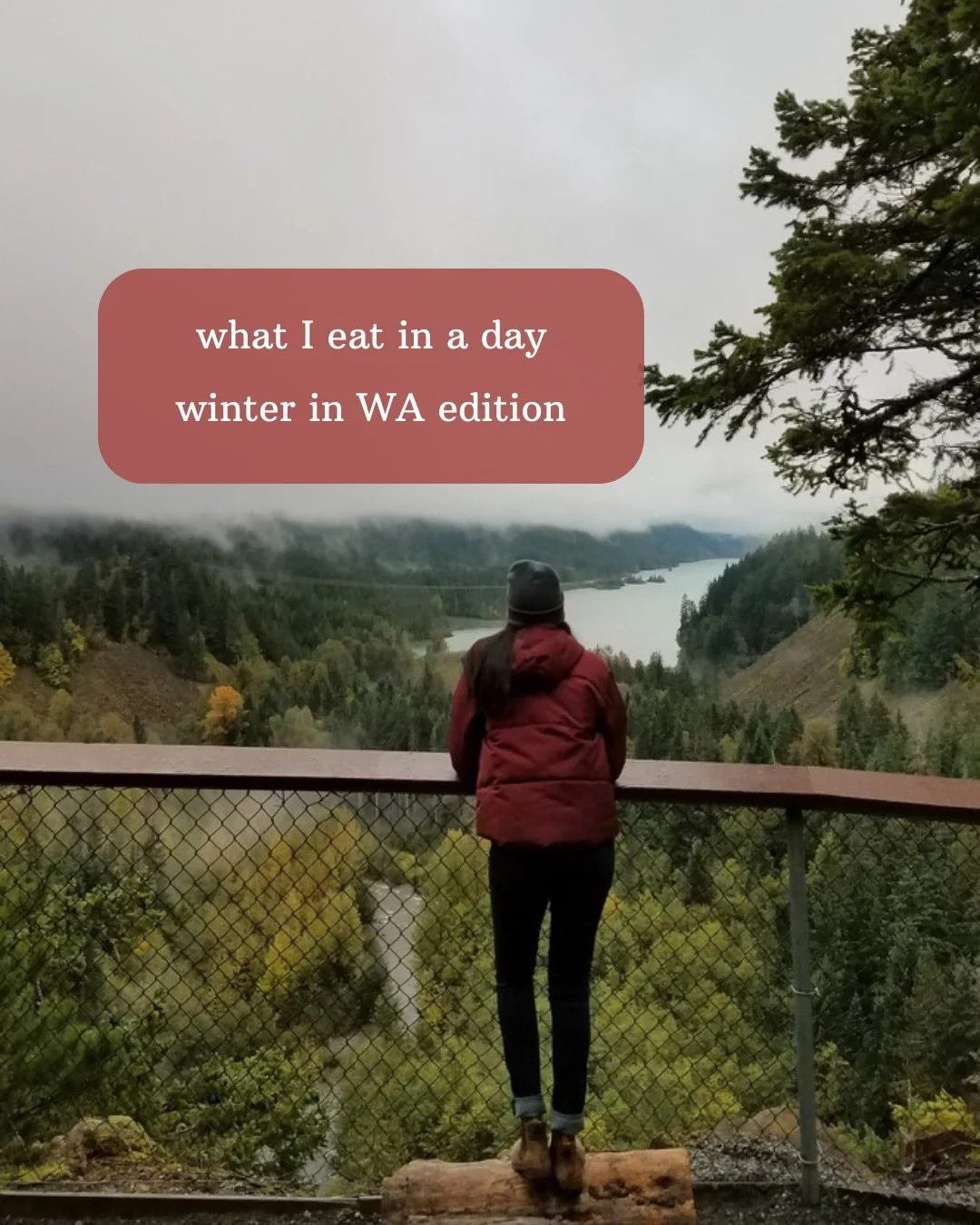 what I eat in a day: winter edition! 

Comment &ldquo;winter&rdquo; if you want any of the recipes 🥰

#wieiad #naturopathic #nutrition #foodismedicine #womenshealth